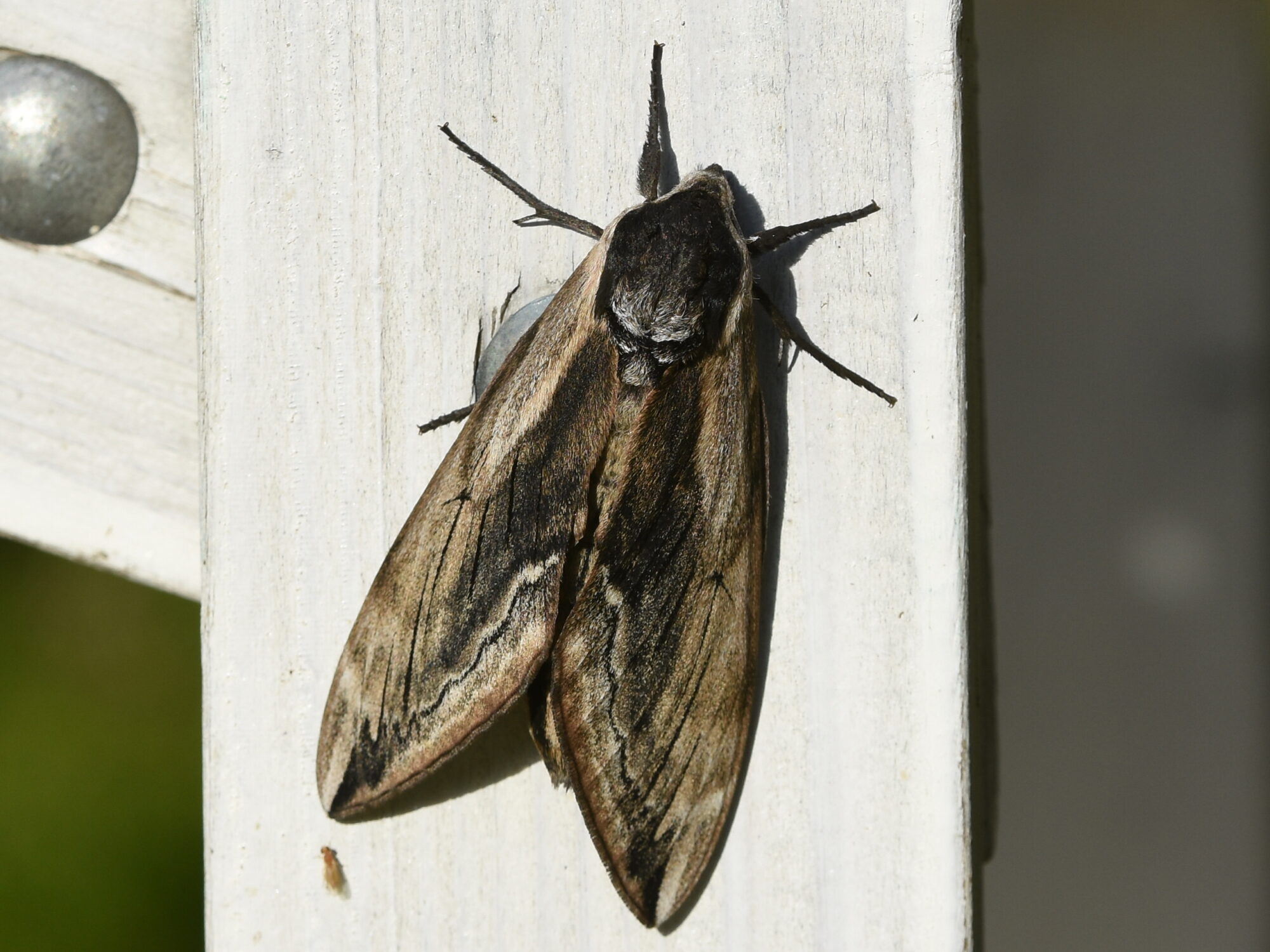Valokuvaaja: Antti Kaskinen