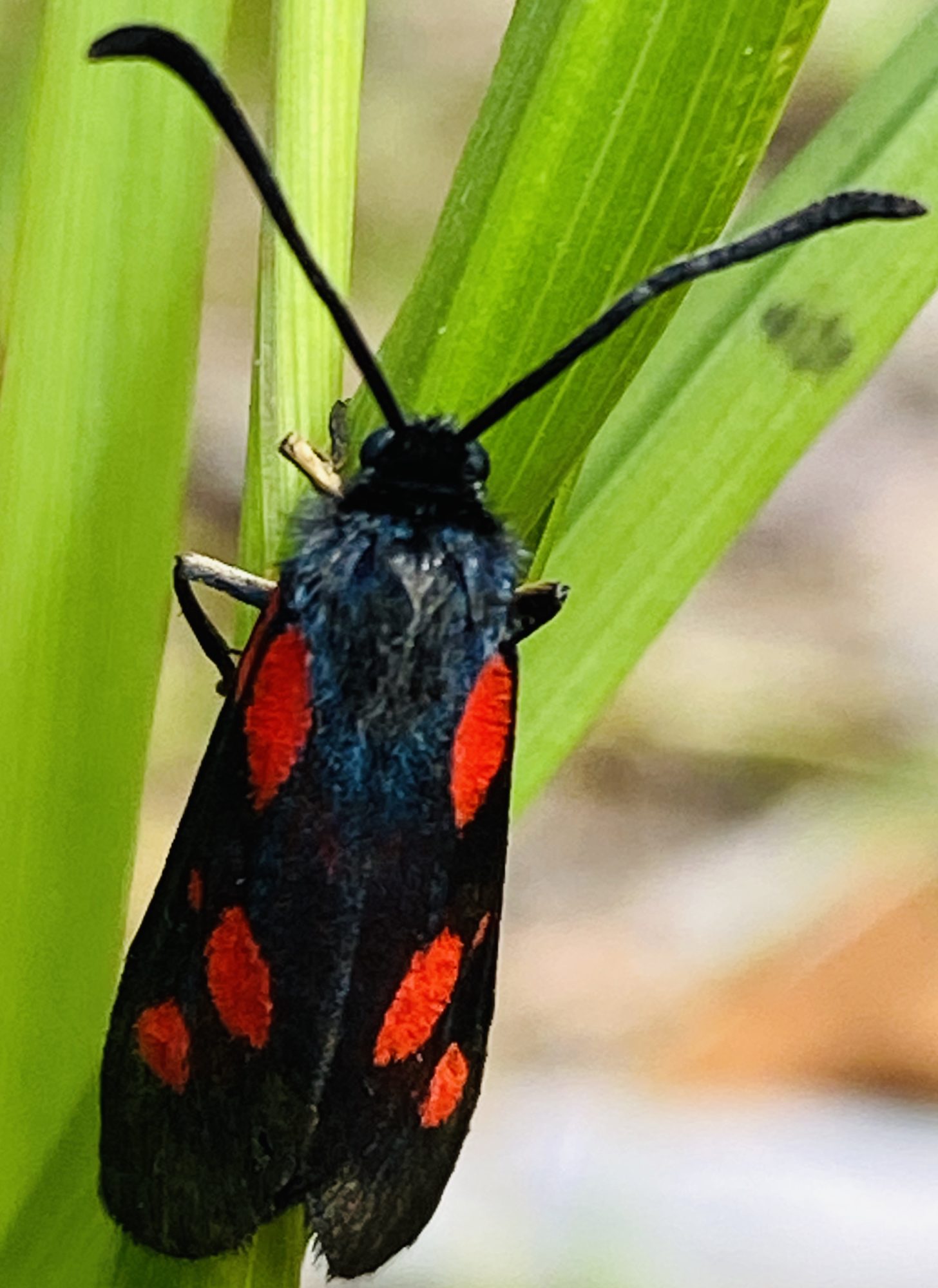 Valokuvaaja: Markku Ranta-Eilola