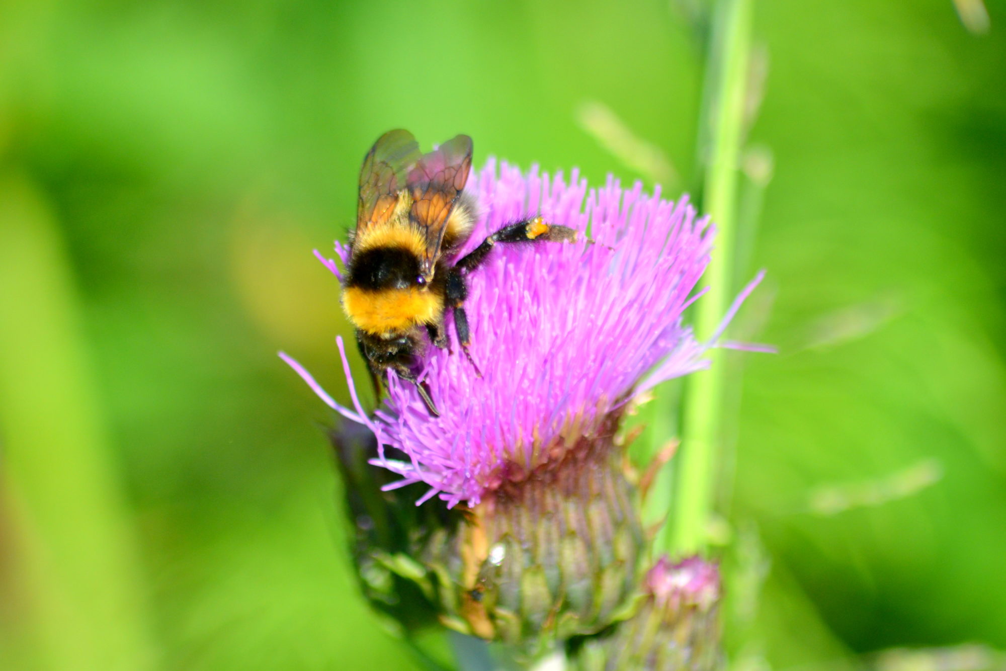Valokuvaaja: Toni Asikainen