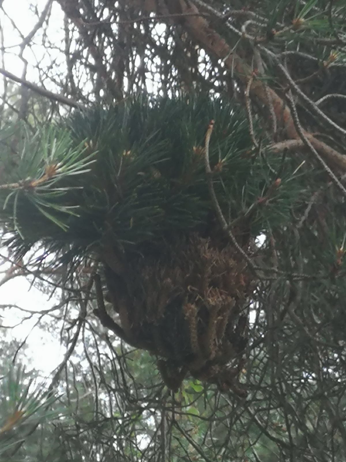 Valokuvaaja: Juulia Rantala