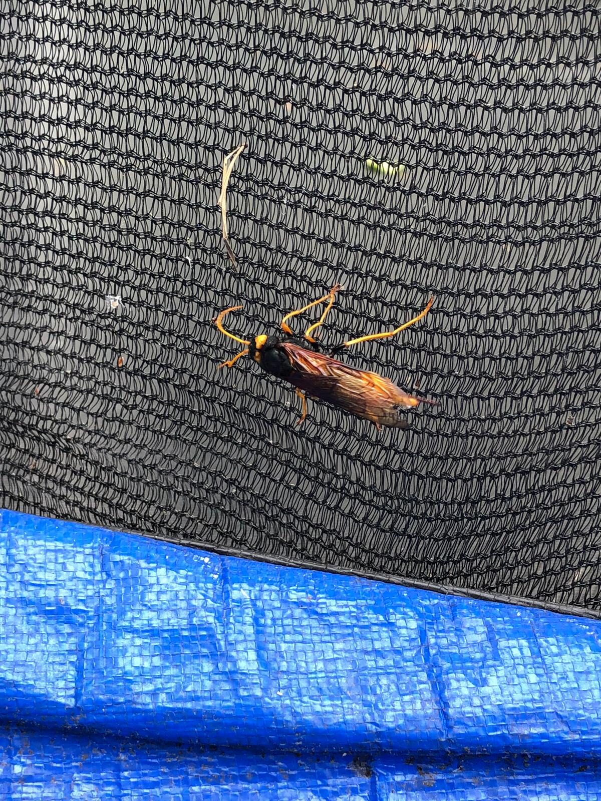 Valokuvaaja: Pirjo Kalske