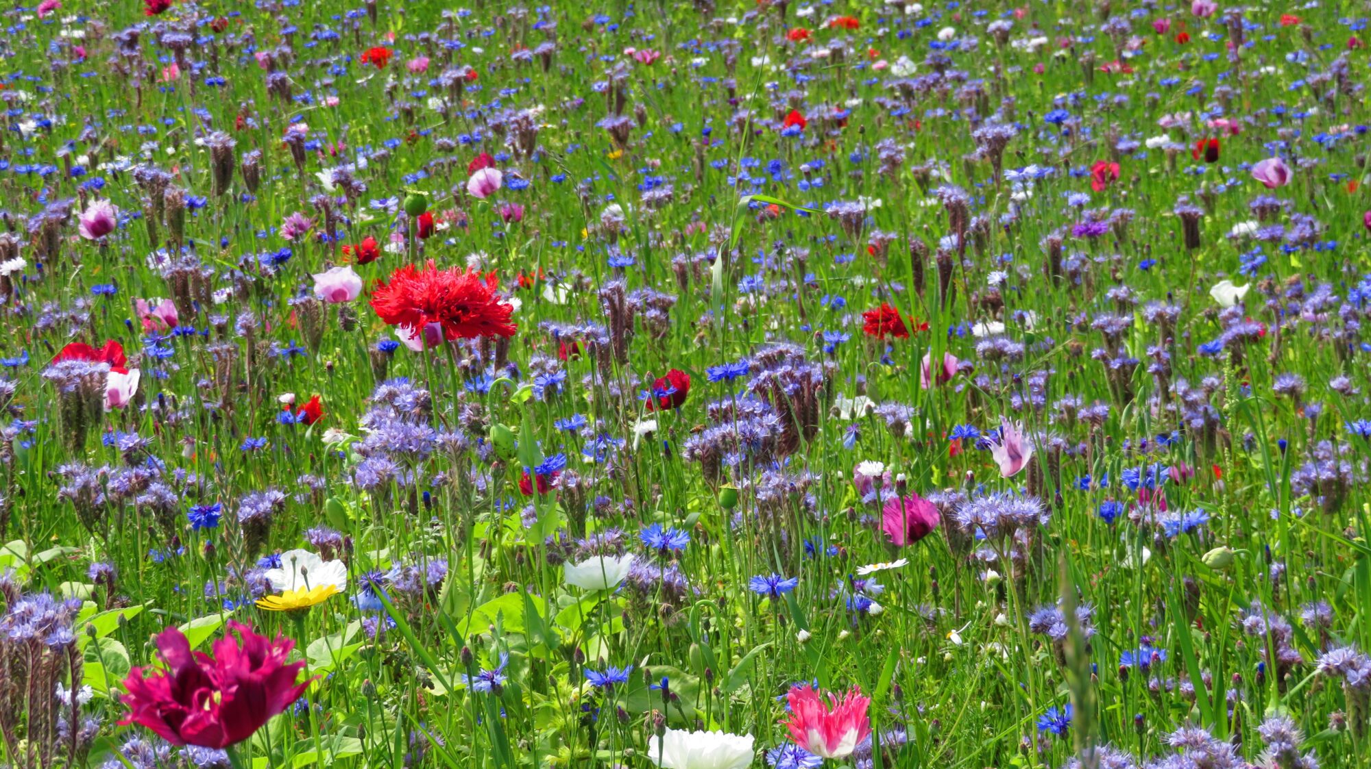 Valokuvaaja: Mari Ahtola Valokuvaaja: Mari Ahtola