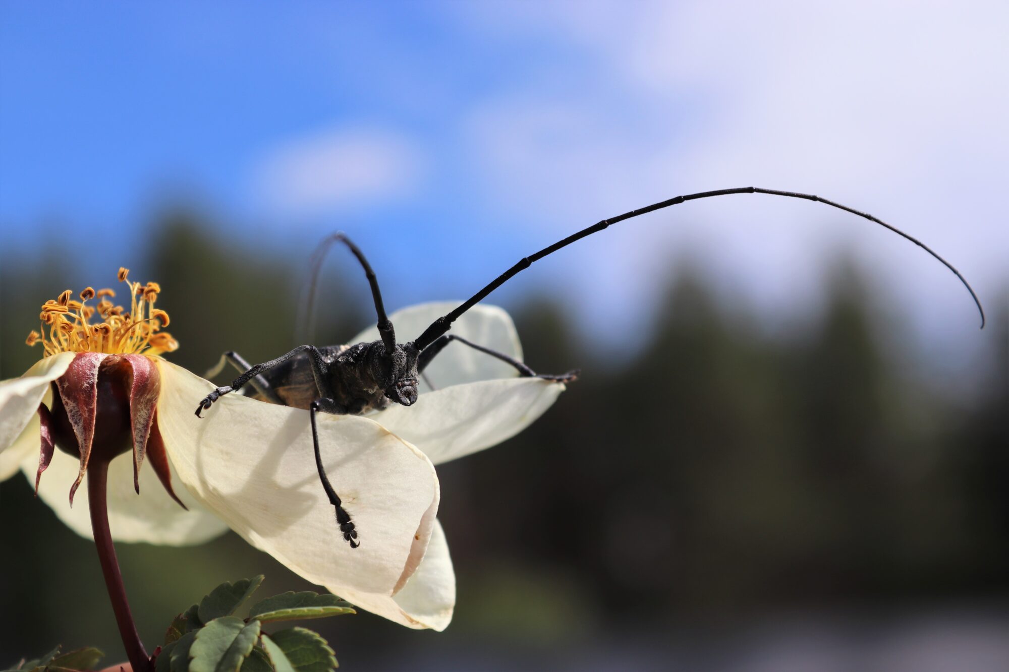 Valokuvaaja: Irja Lehtinen