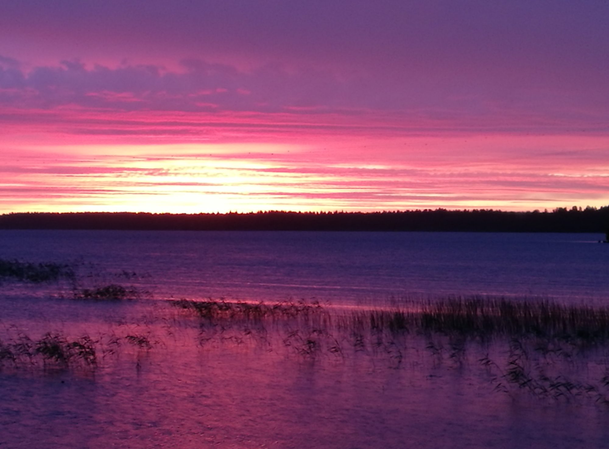 Valokuvaaja: Sirkka Ruotoistenmäki