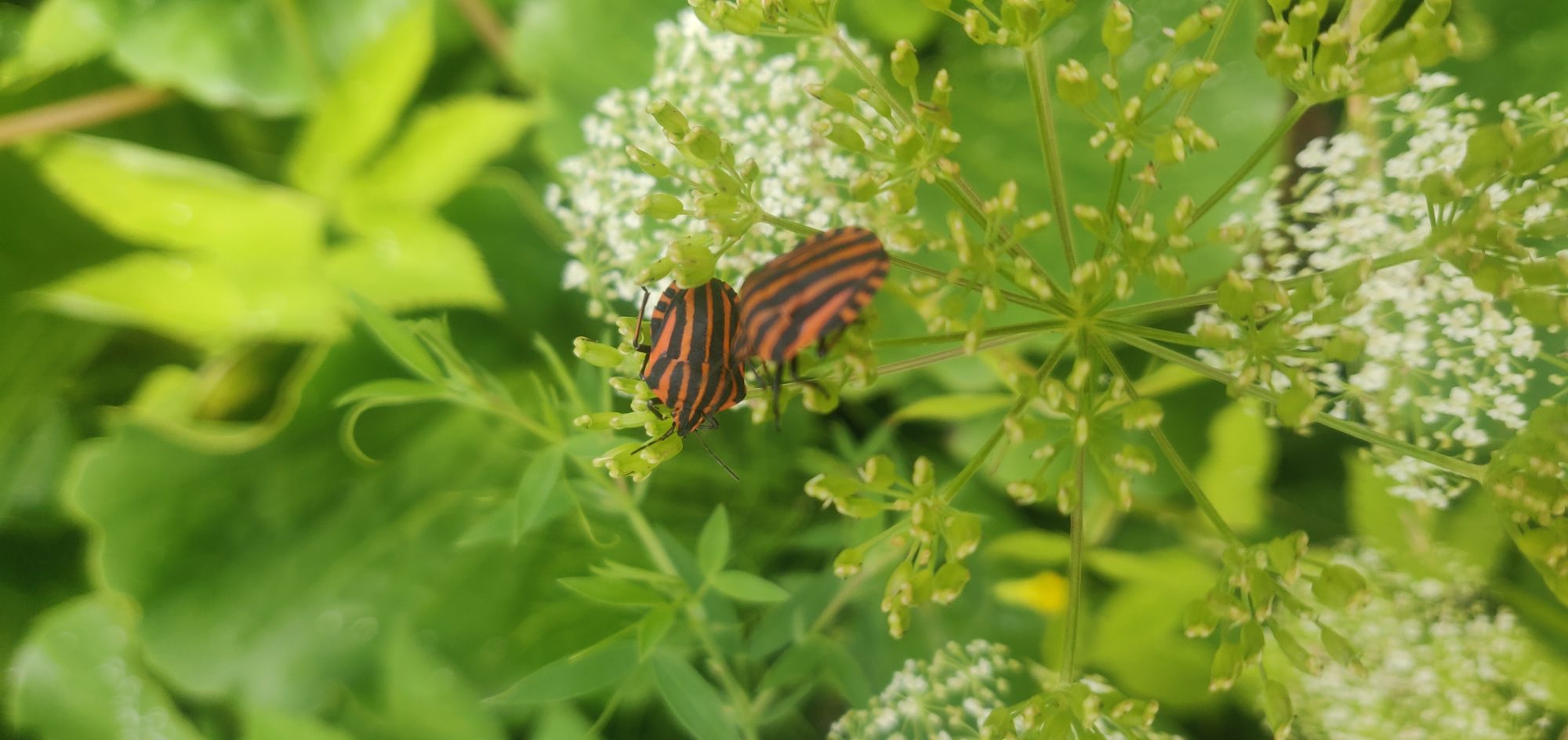 Valokuvaaja: Aki Hiekko