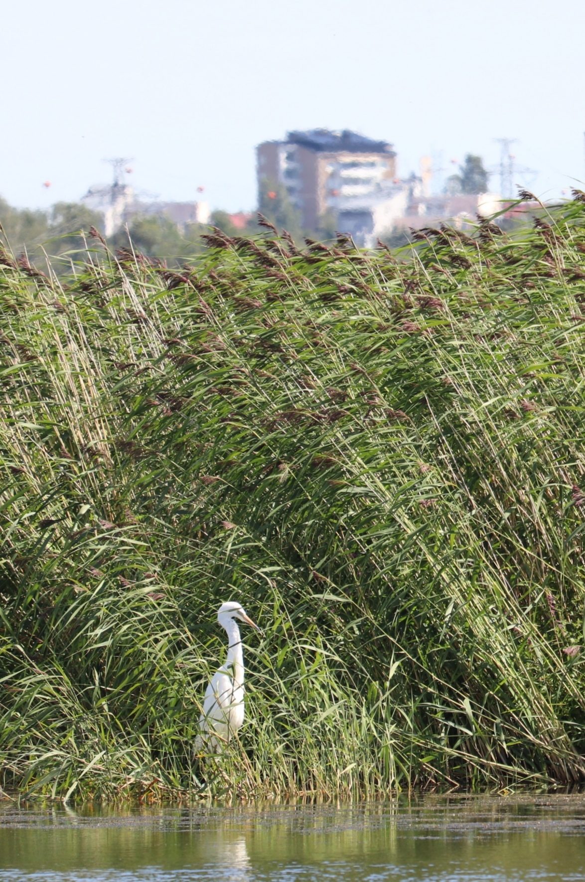 Valokuvaaja: Mari Saksola