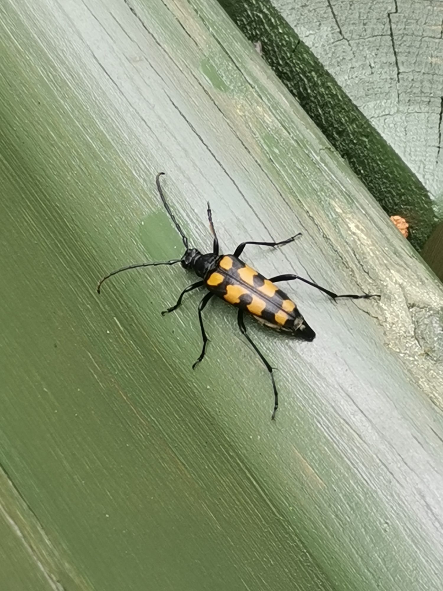 Valokuvaaja: Veera Nurmela