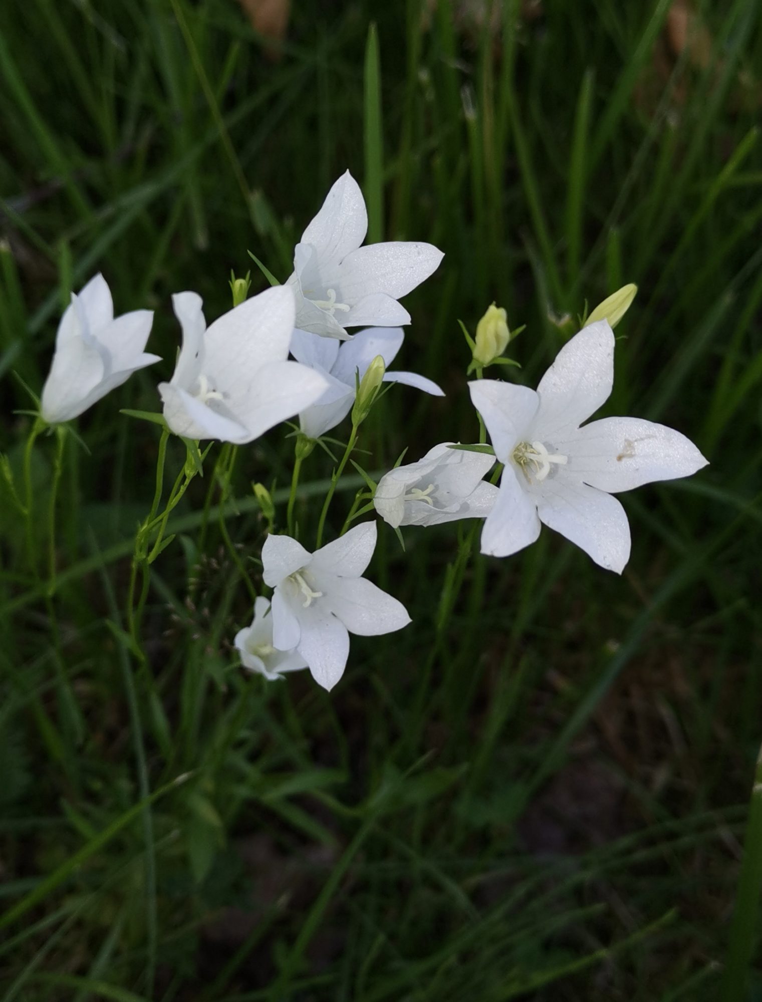 Valokuvaaja: Leena Kallinen