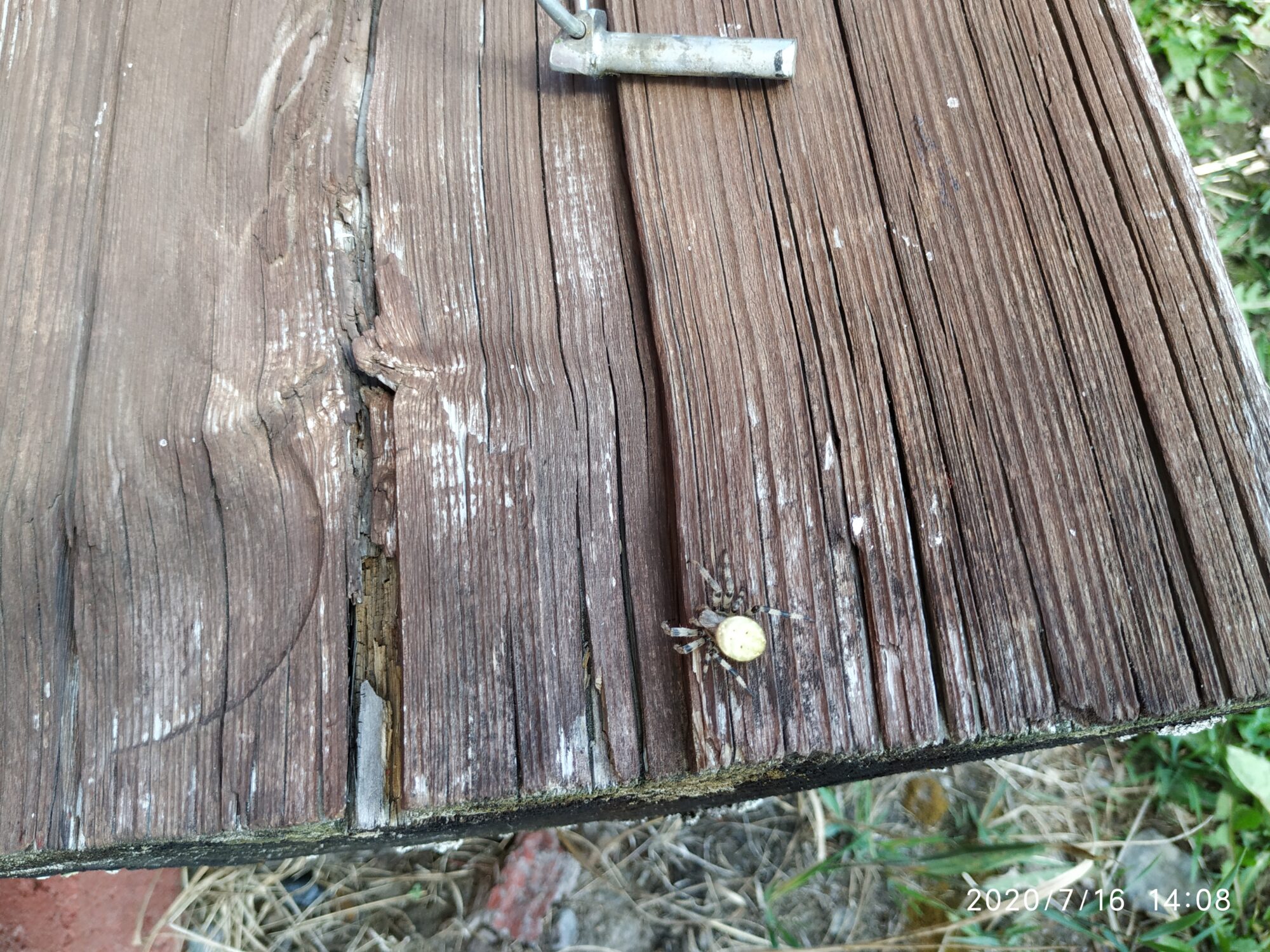 Valokuvaaja: Antti Ylihärsilä