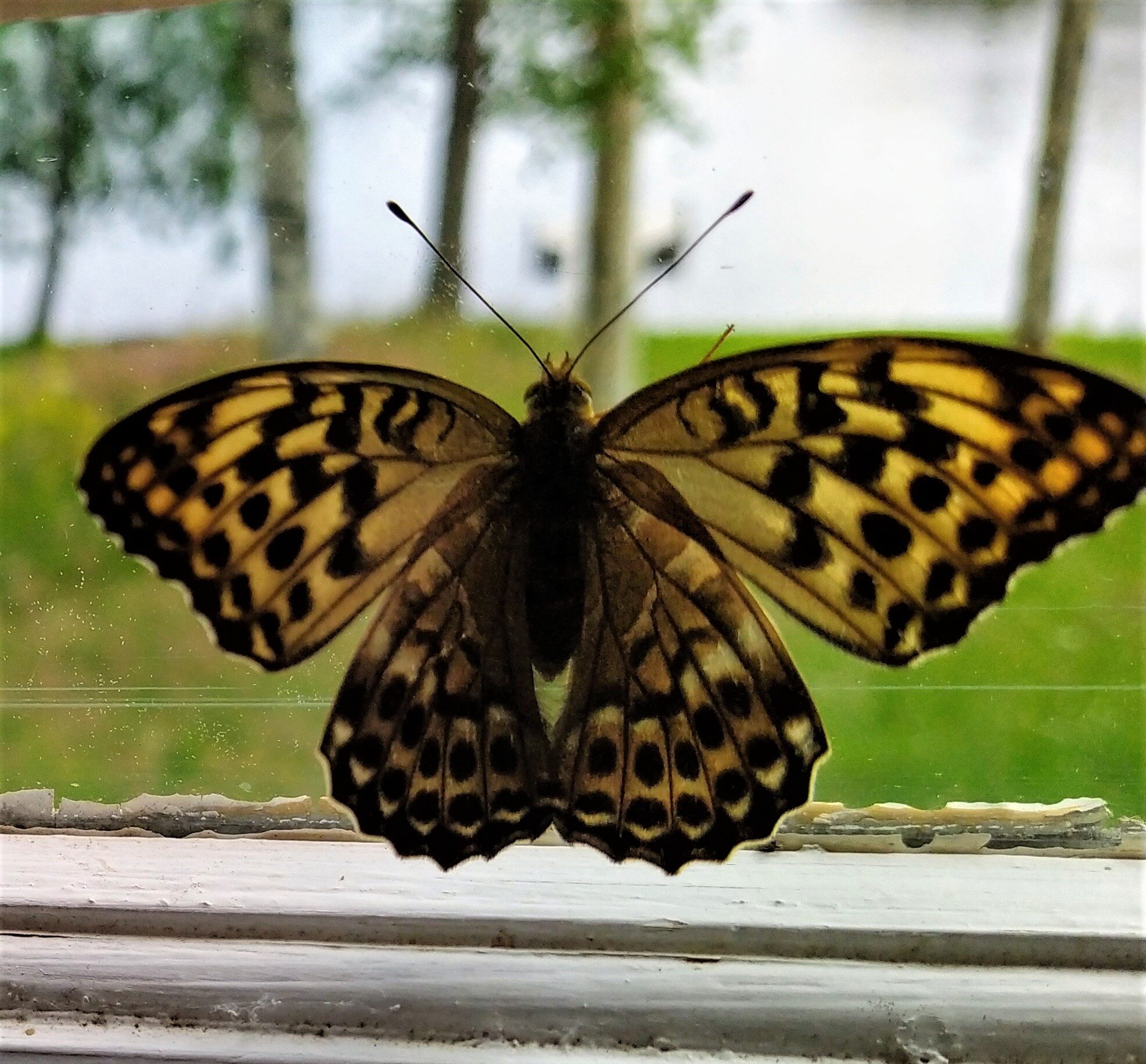 Valokuvaaja: Helena Okkonen