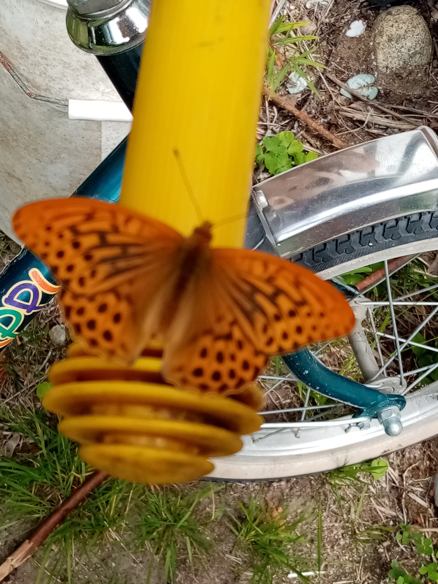 Valokuvaaja: Heli Rämö-Kaija