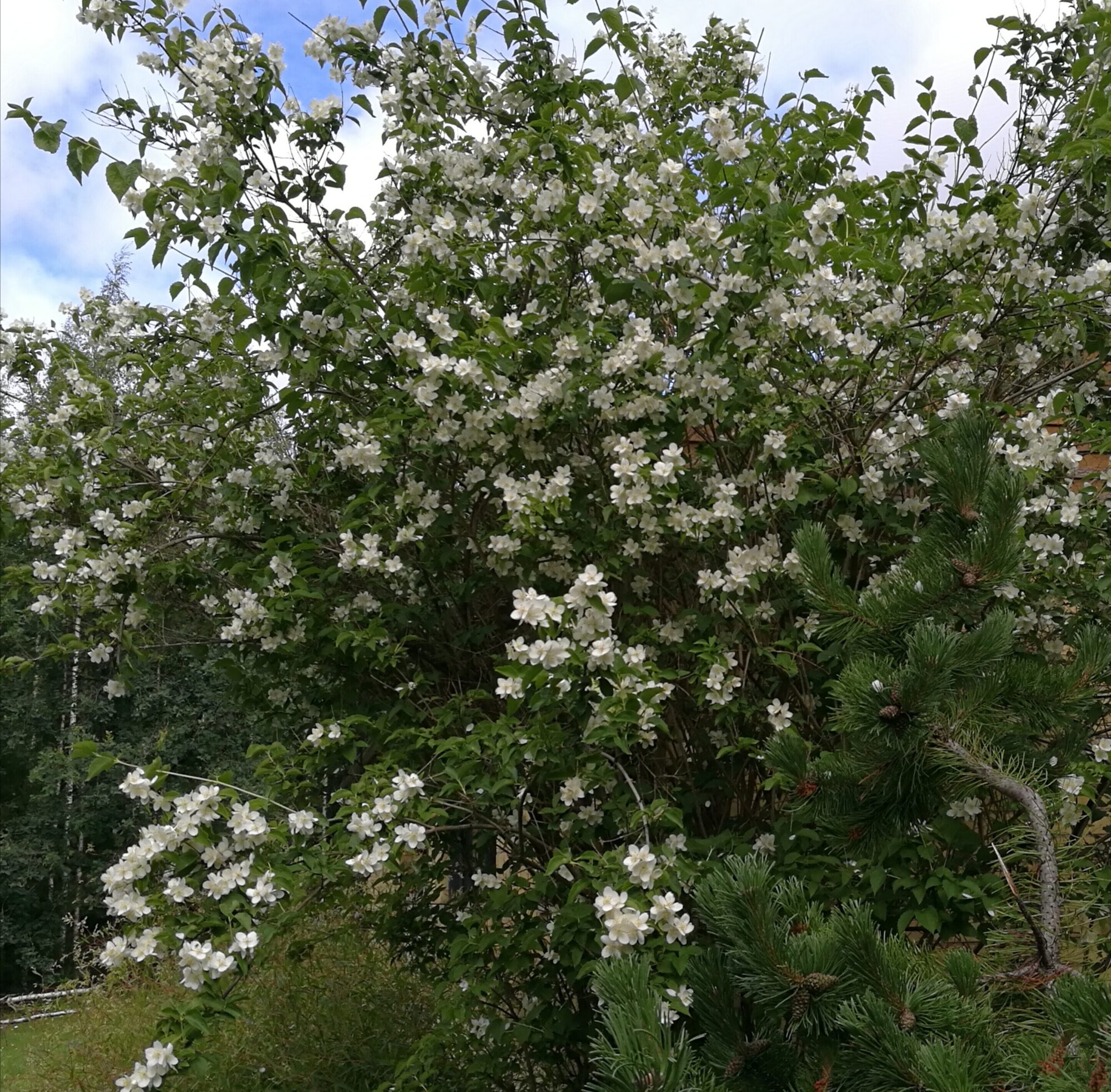 Valokuvaaja: Sirkka Ruotoistenmäki Valokuvaaja: Sirkka Ruotoistenmäki