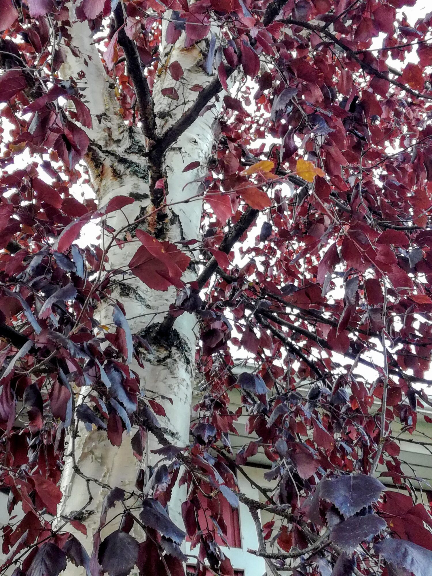 Valokuvaaja: Marketta Kokko Valokuvaaja: Marketta Kokko