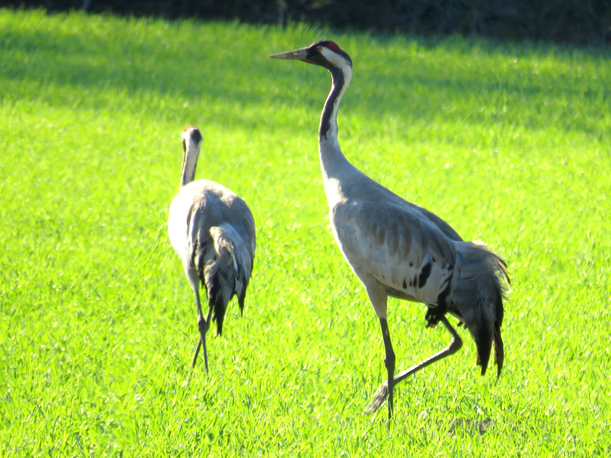 Valokuvaaja: Sirkka Ruotoistenmäki