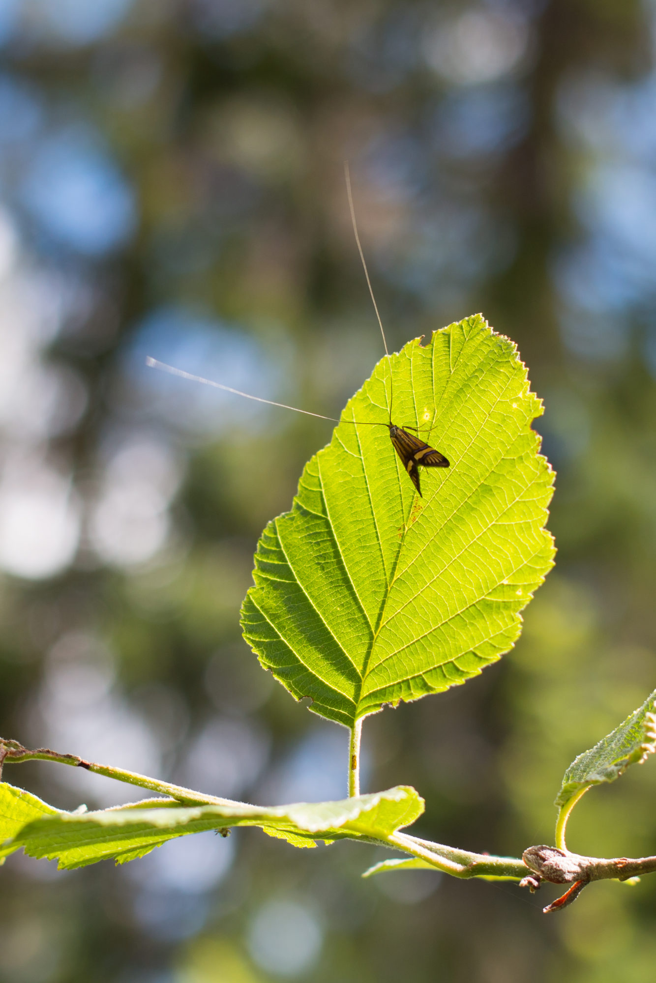 Valokuvaaja: Teija Järvenpää