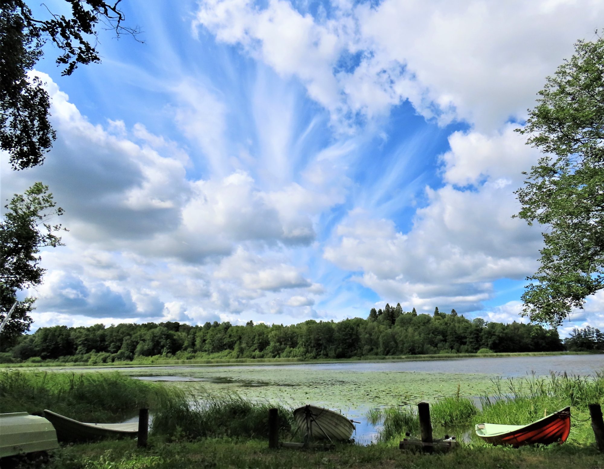 Valokuvaaja: Birgit Silvennoinen