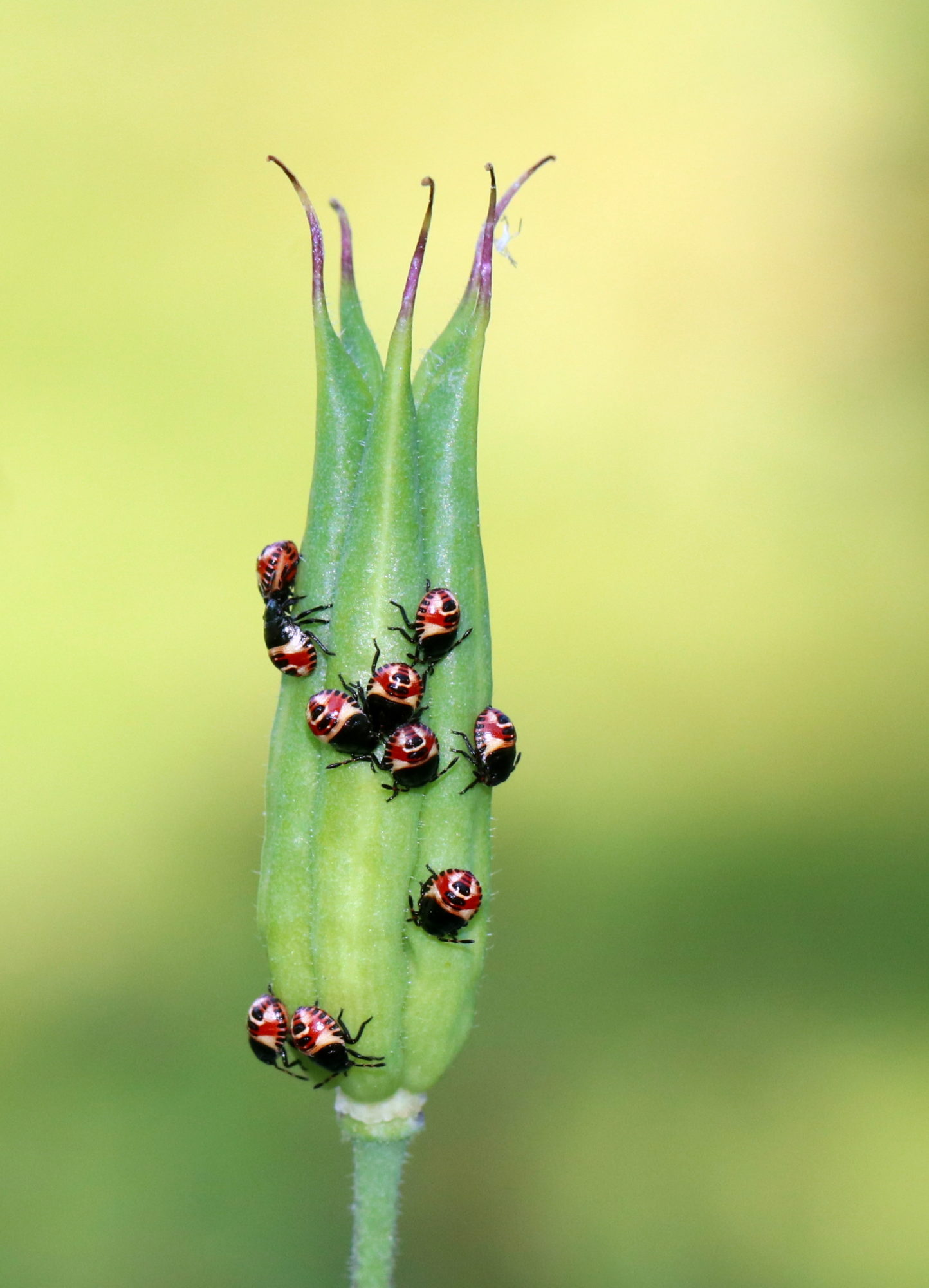 Valokuvaaja: Eija Soimola Valokuvaaja: Eija Soimola