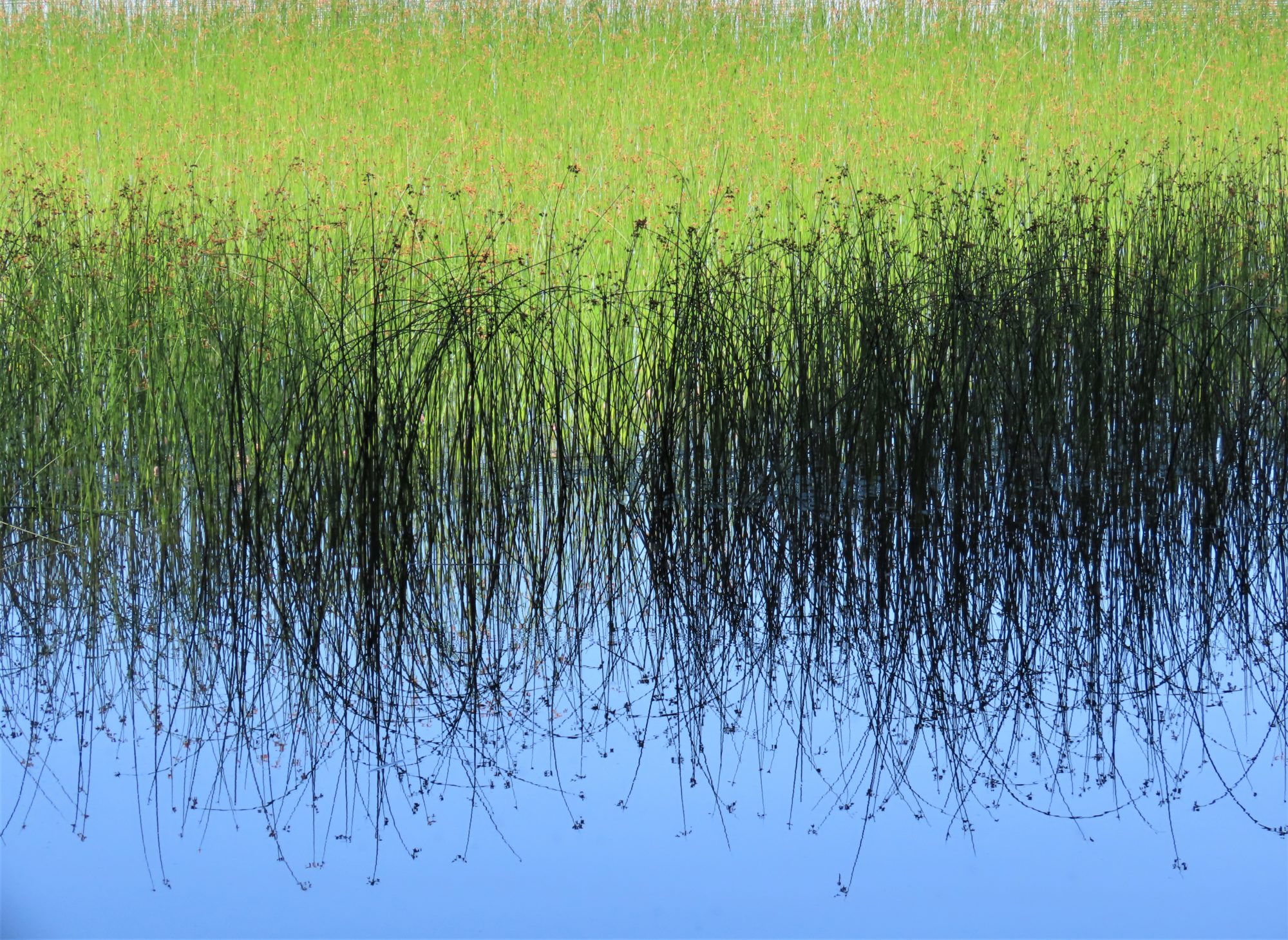 Valokuvaaja: Birgit Silvennoinen Valokuvaaja: Birgit Silvennoinen