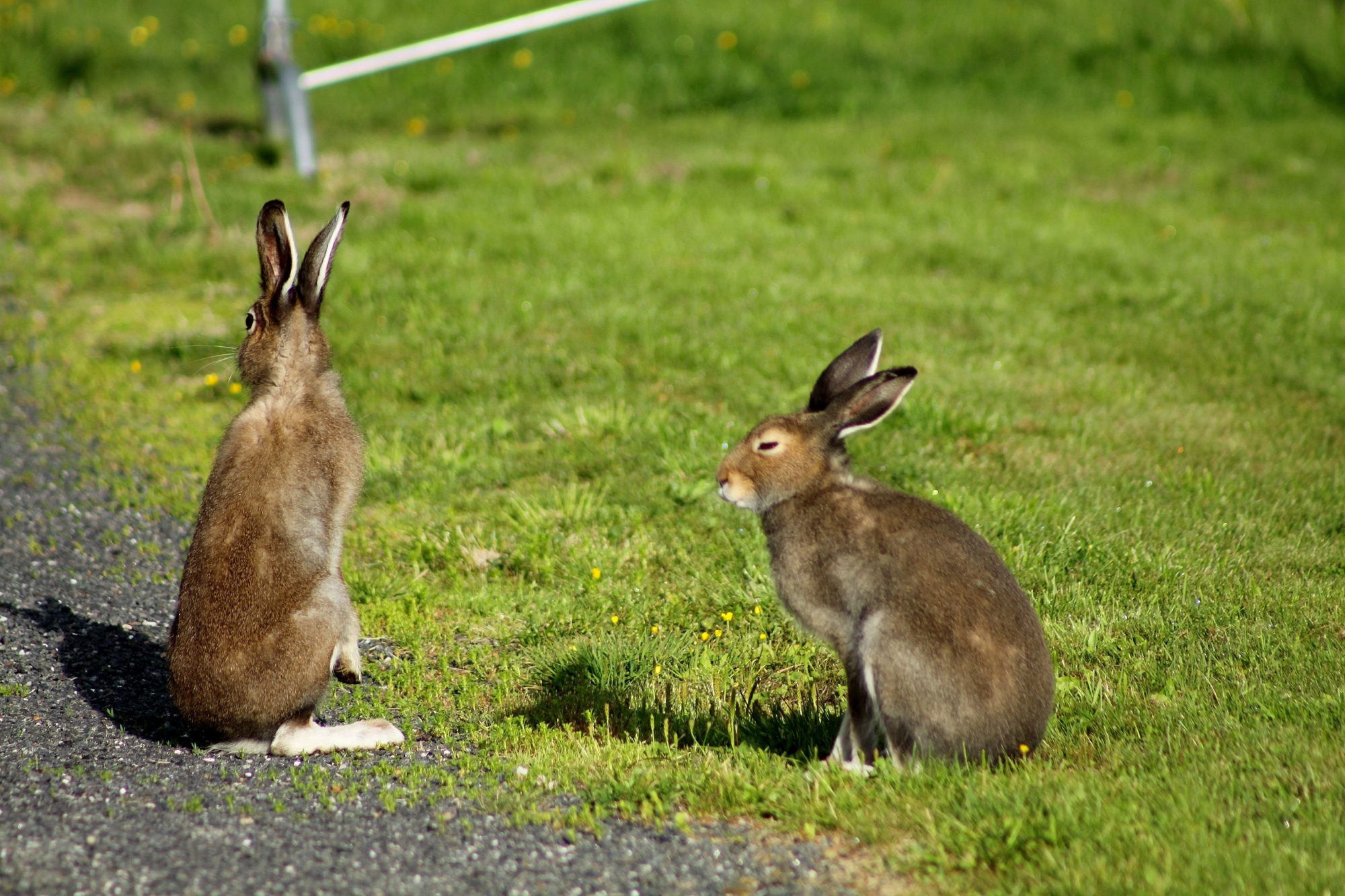 Valokuvaaja: Pirkko Siukonen