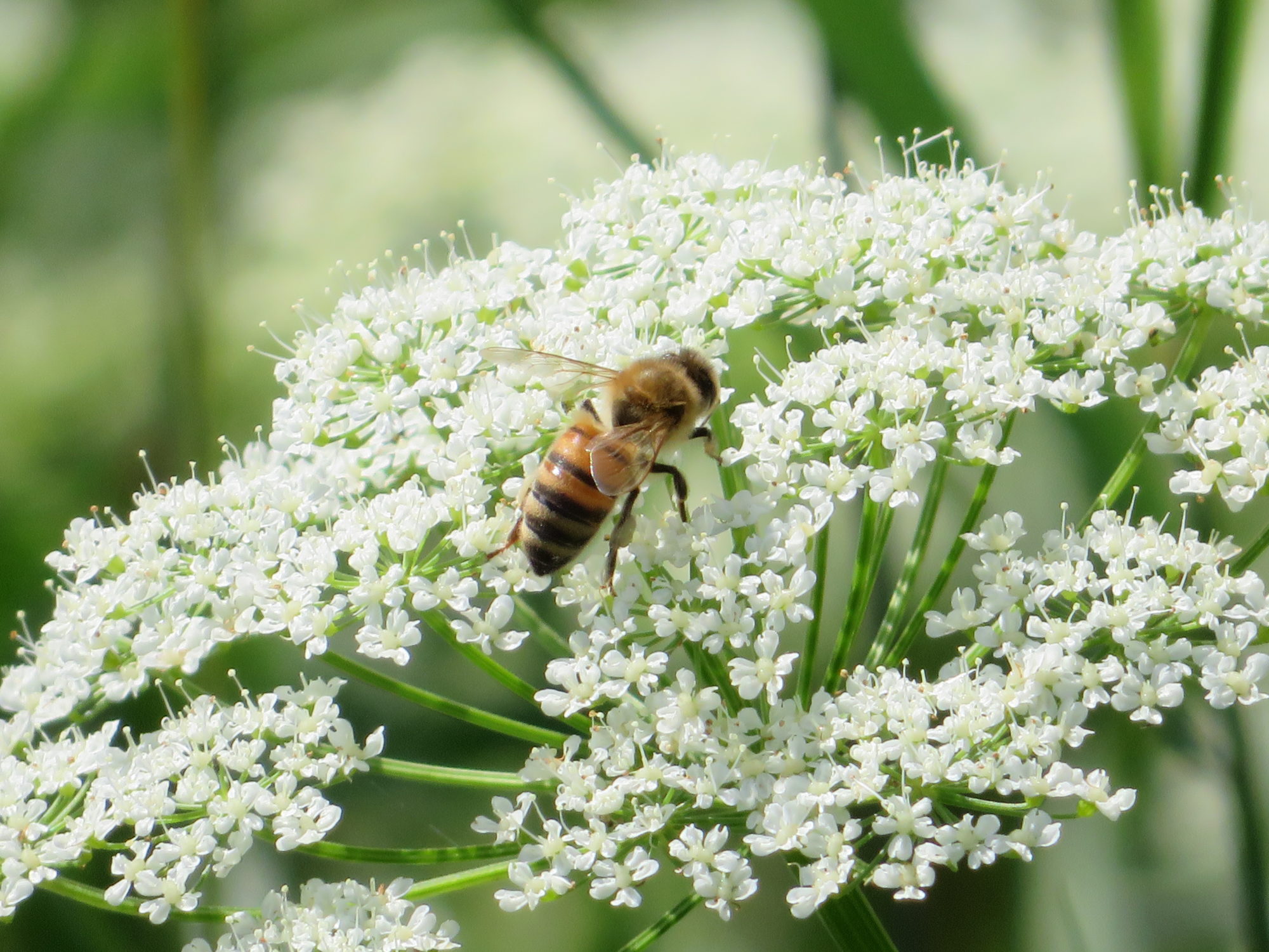 Valokuvaaja: Risto Kangassalo