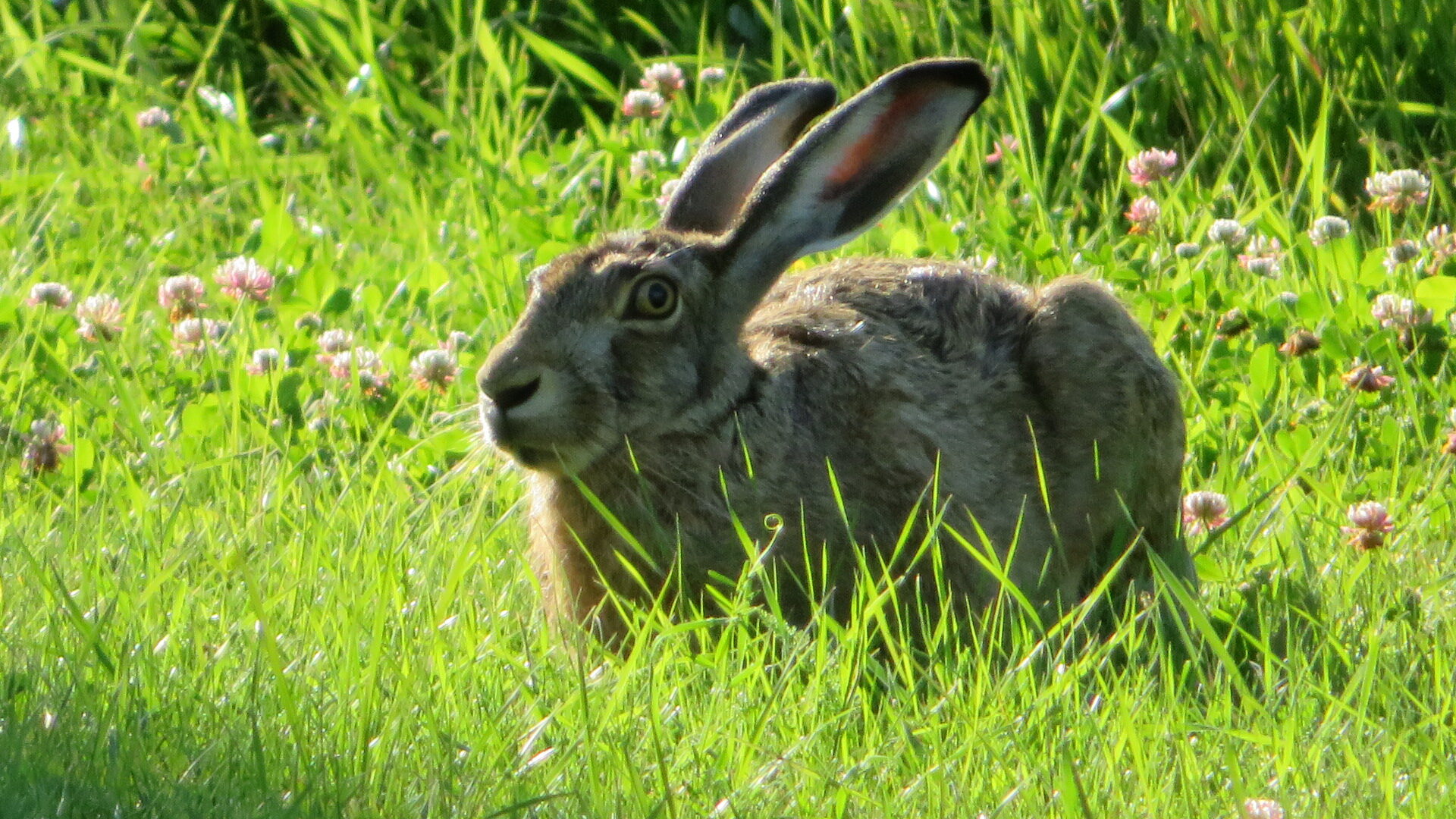 Valokuvaaja: Risto Kangassalo