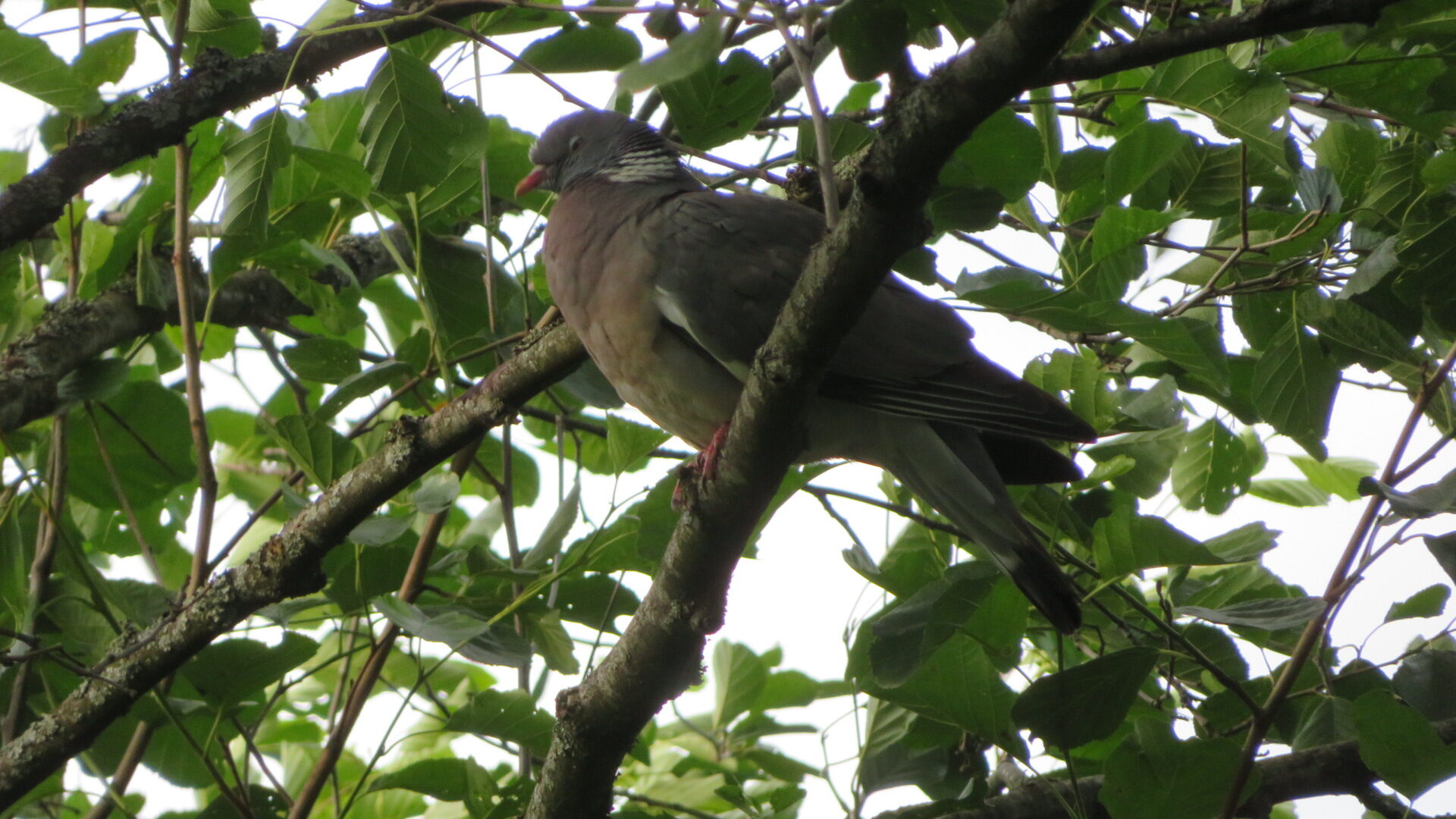 Valokuvaaja: Risto Kangassalo