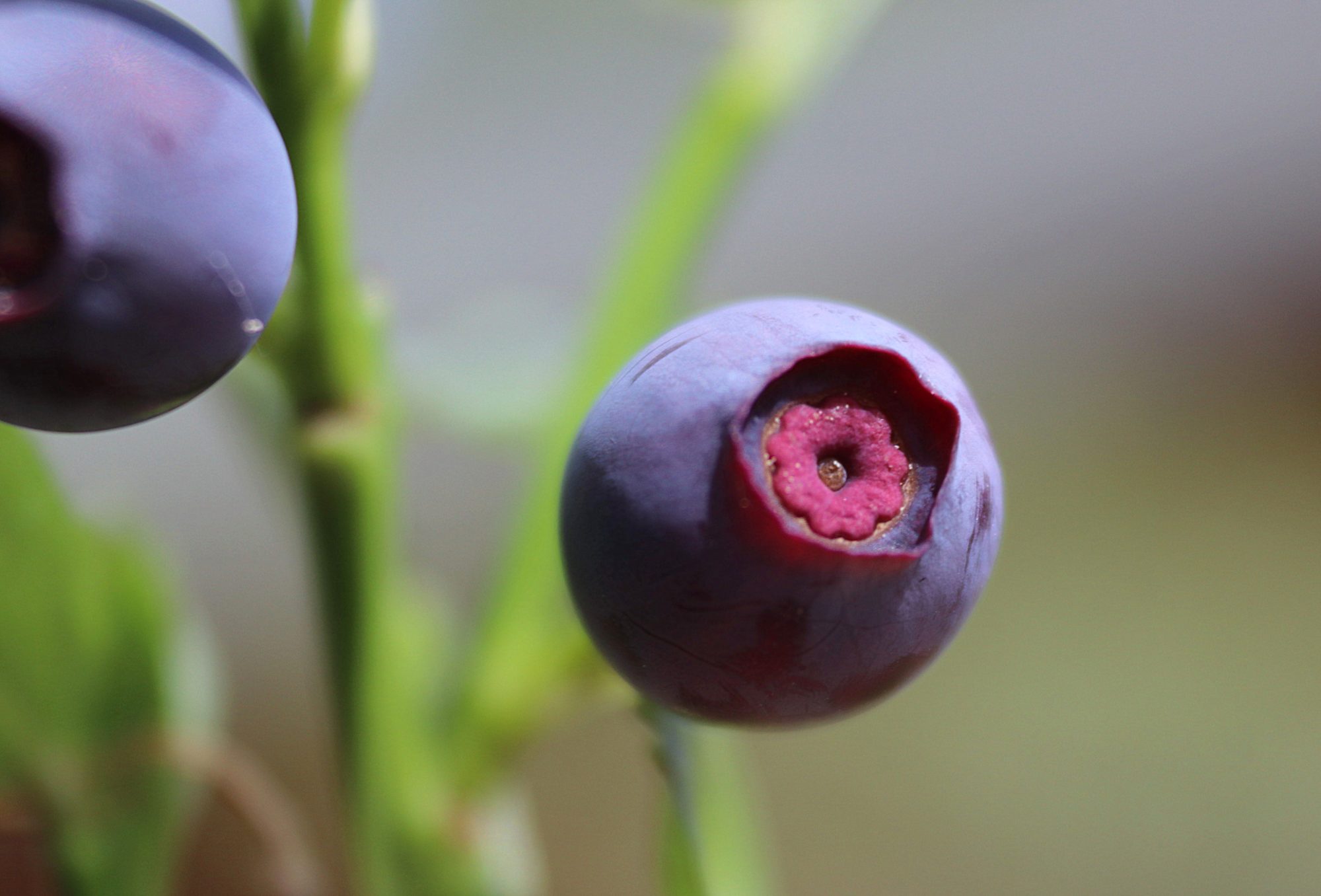 Valokuvaaja: Irja Lehtinen