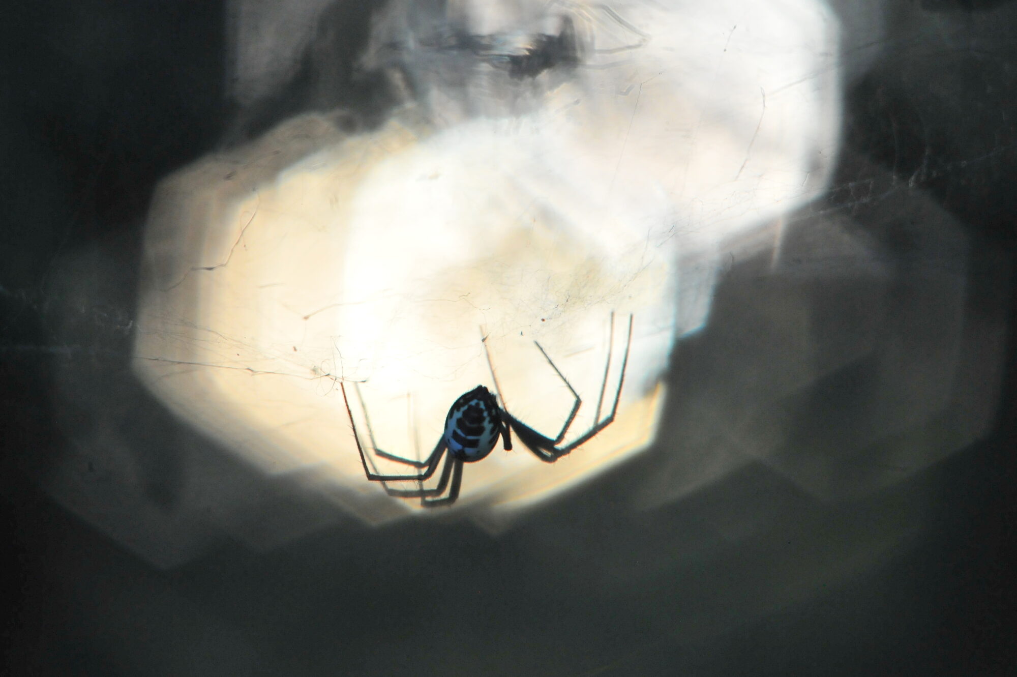 Valokuvaaja: Kaarlo Asikainen