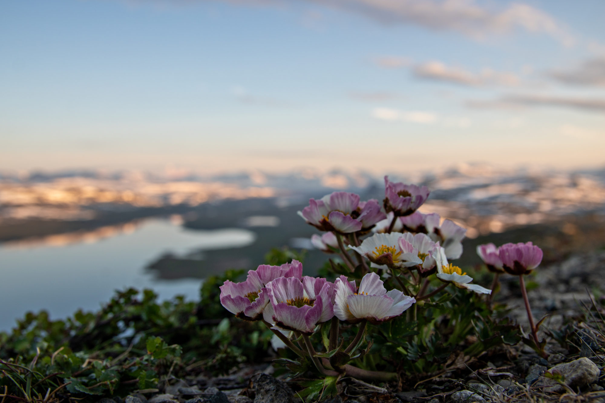 Valokuvaaja: Katri Niskanen