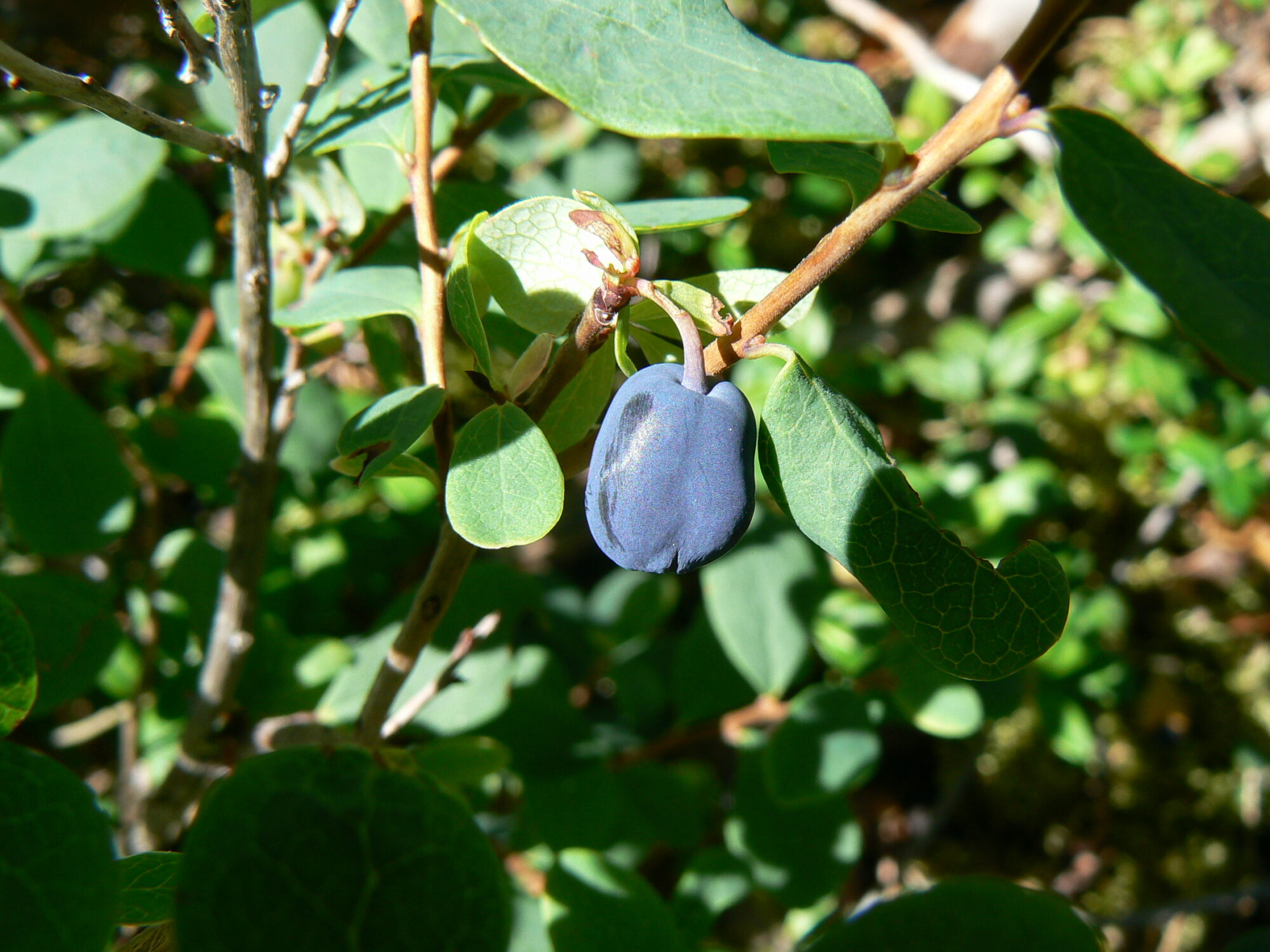 Valokuvaaja: Pekka Heino