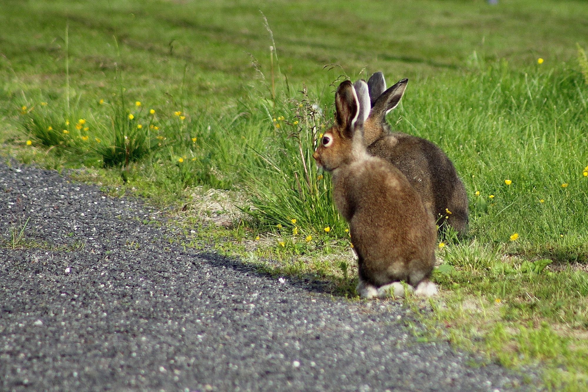 Valokuvaaja: Pirkko Siukonen