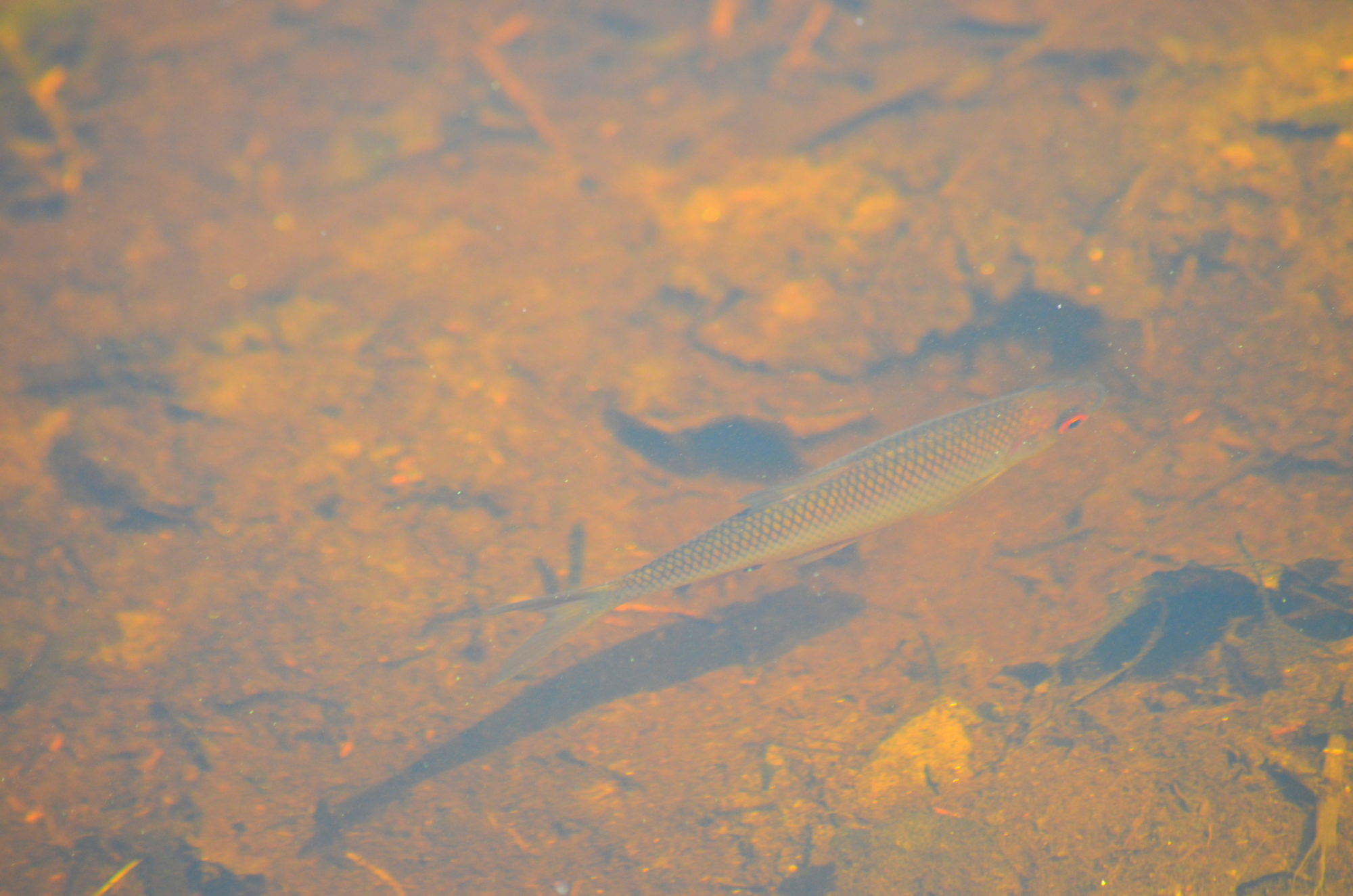 Valokuvaaja: Toni Asikainen