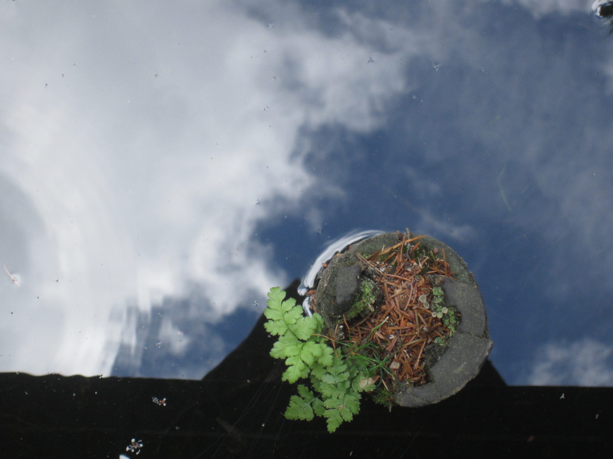 Valokuvaaja: Marita Portin