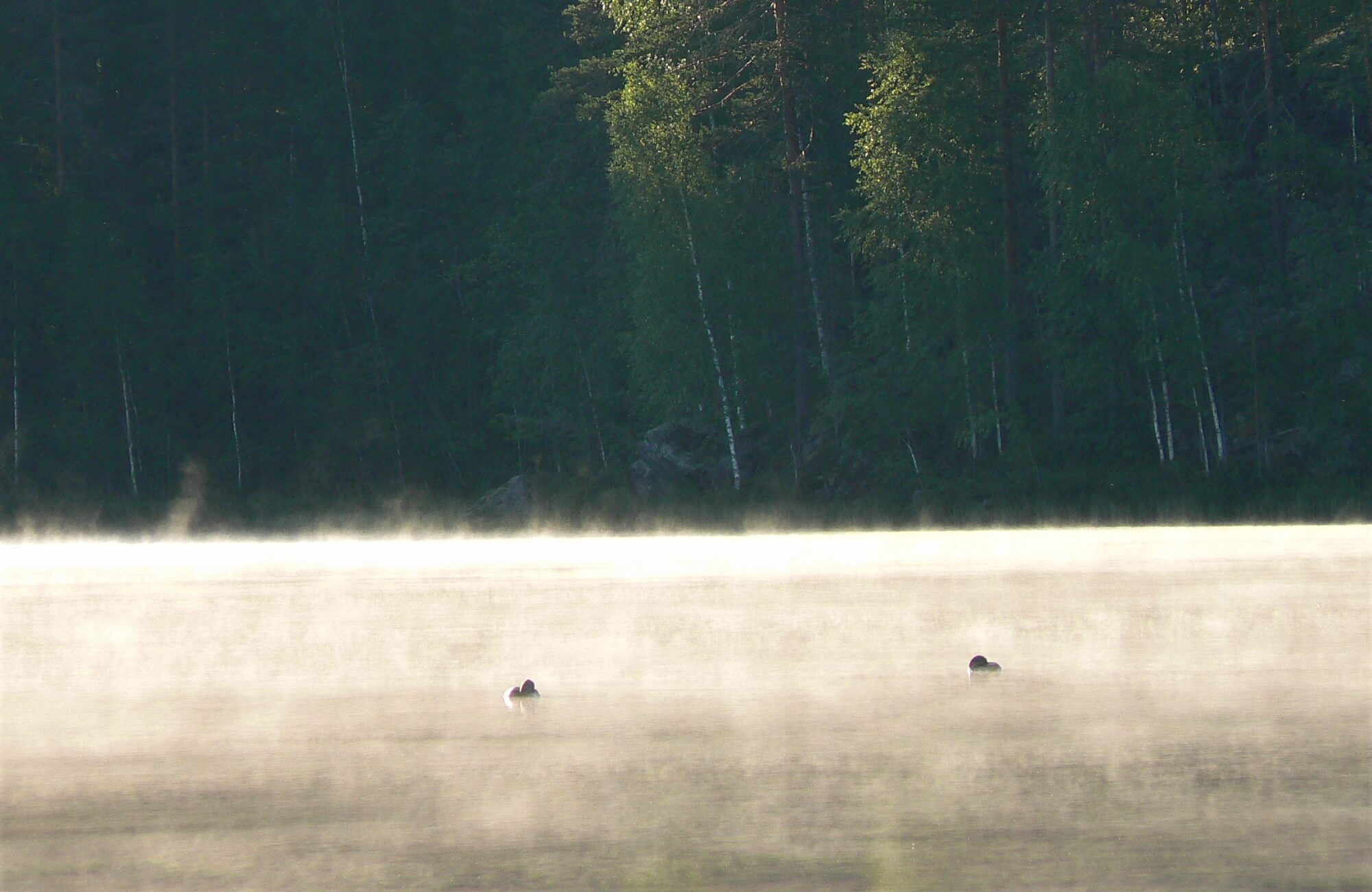 Valokuvaaja: Pekka Heino
