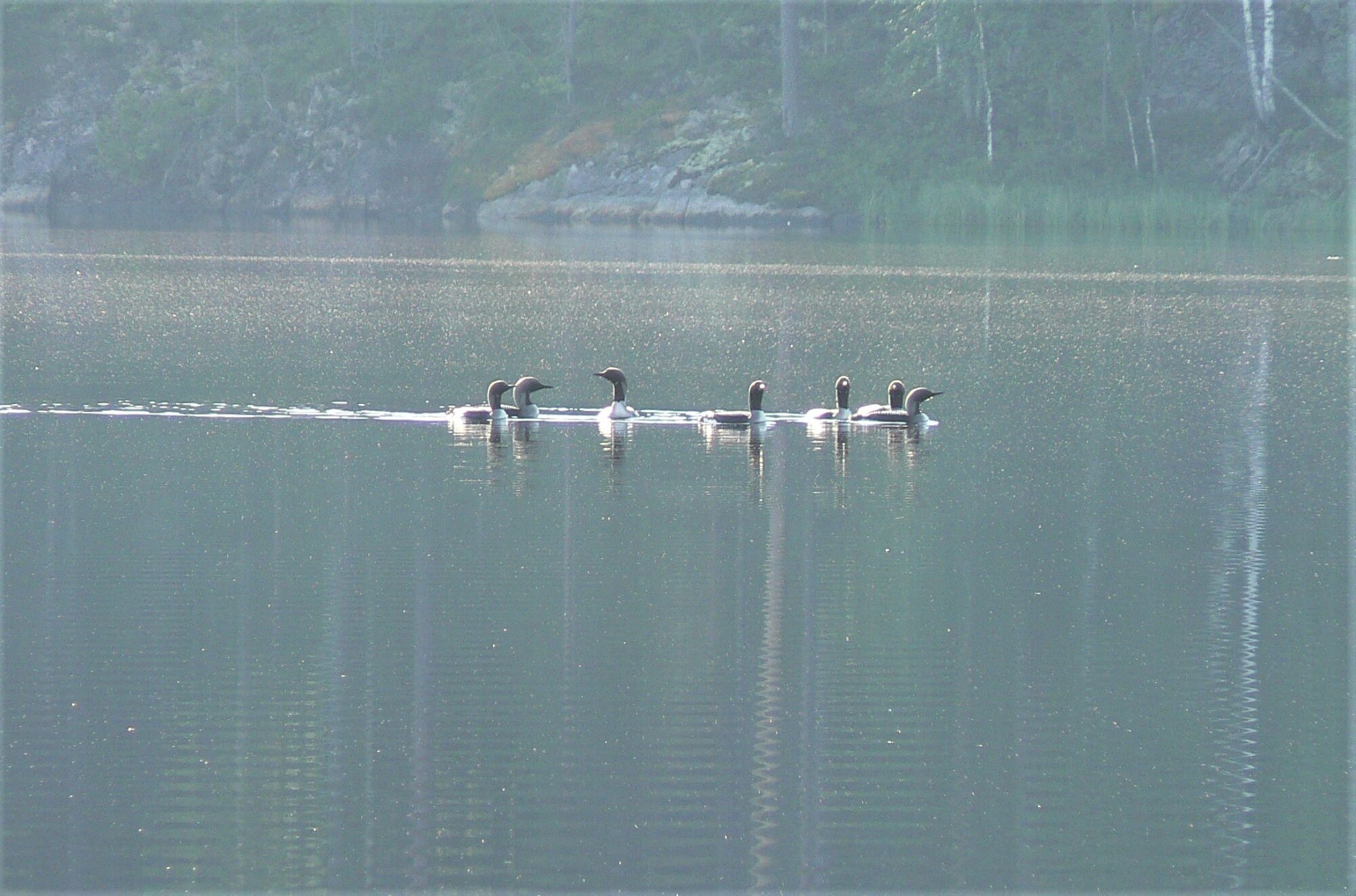 Valokuvaaja: Pekka Heino