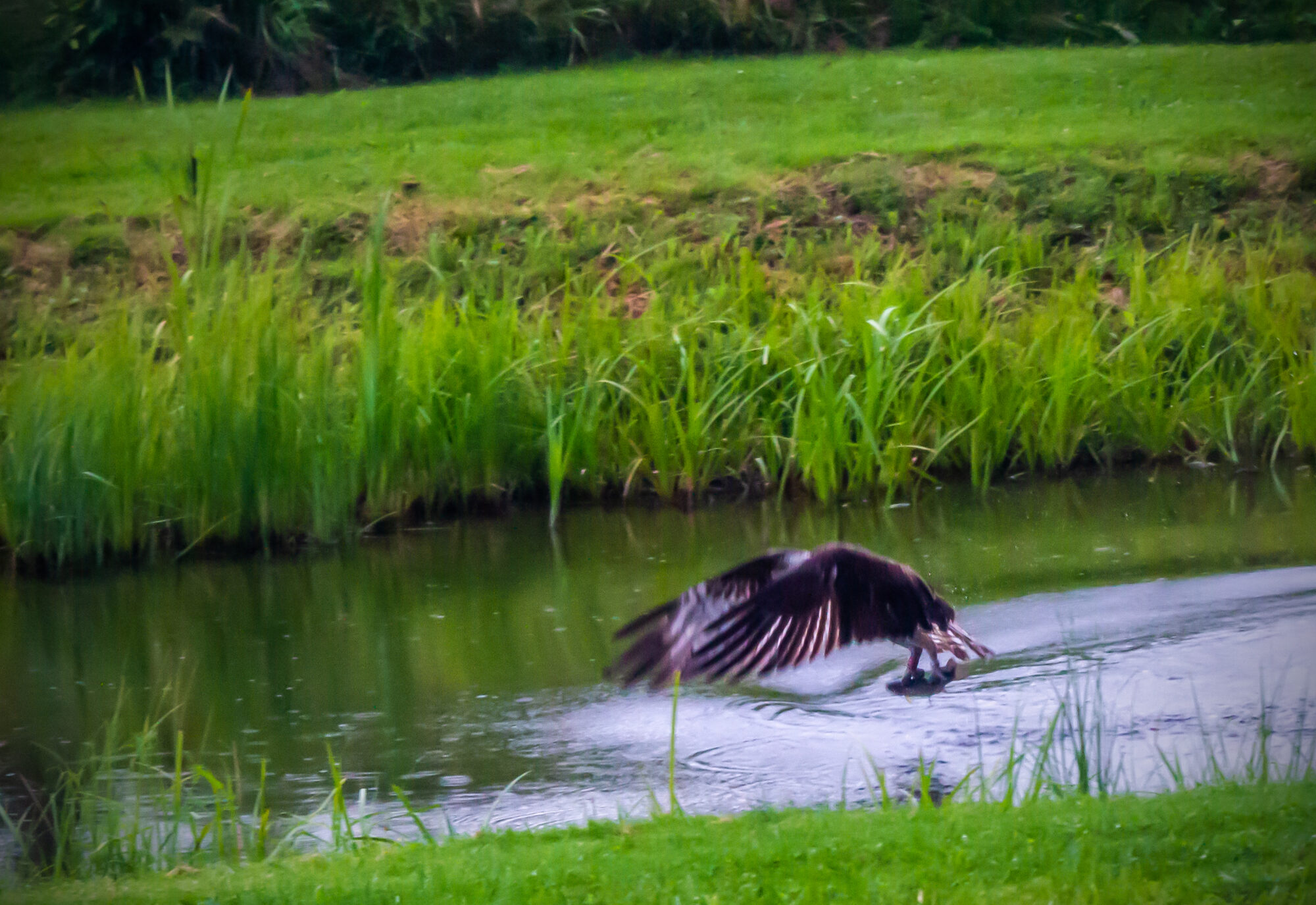 Valokuvaaja: Heikki Heinonen
