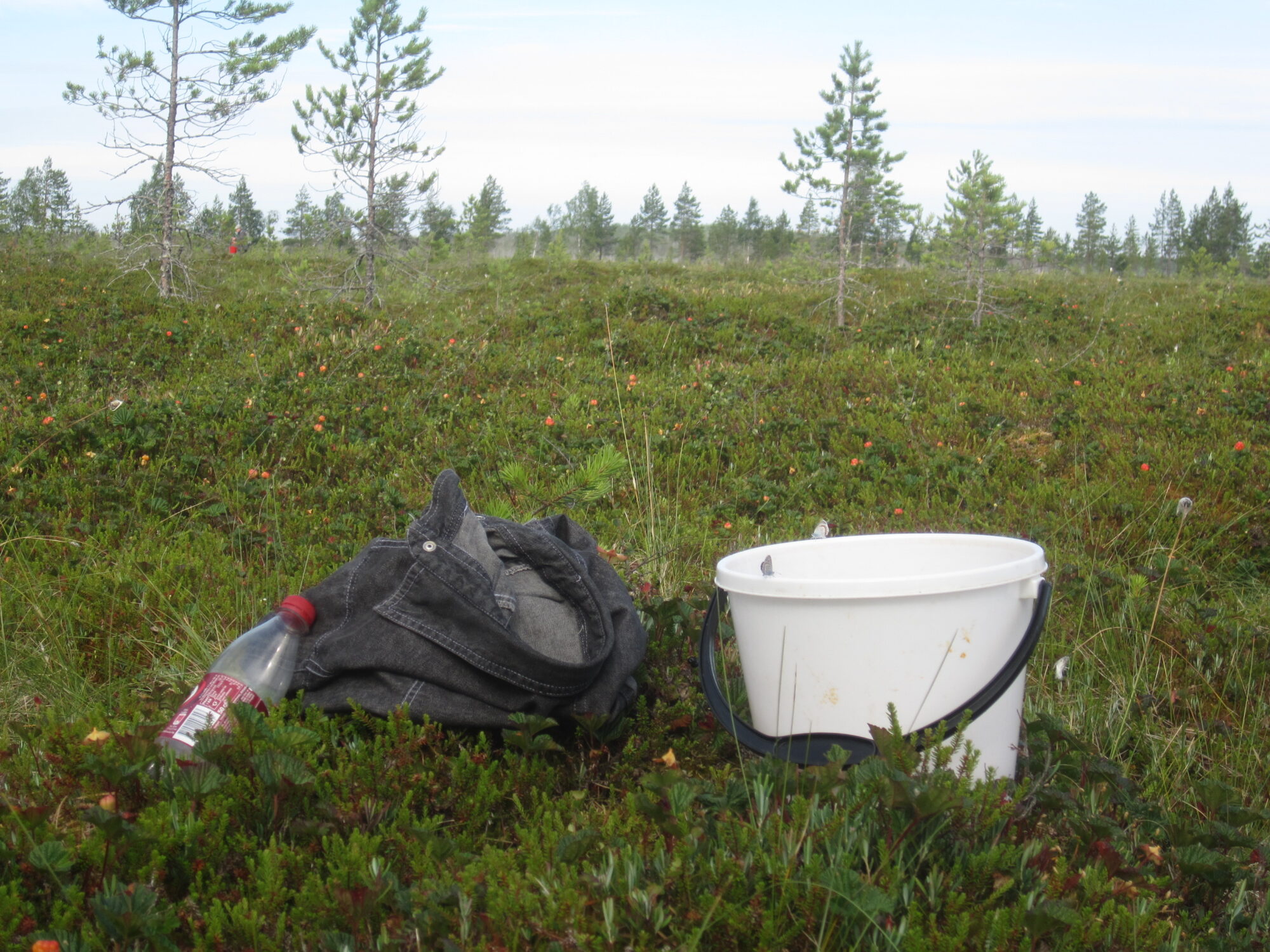 Valokuvaaja: Marita Portin