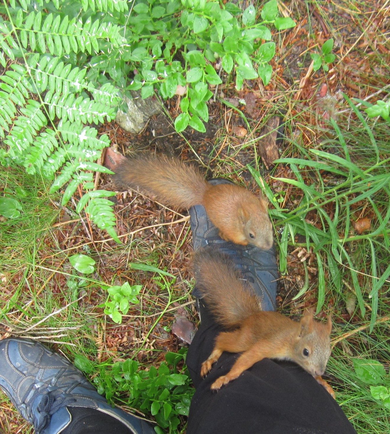 Valokuvaaja: Marita Portin