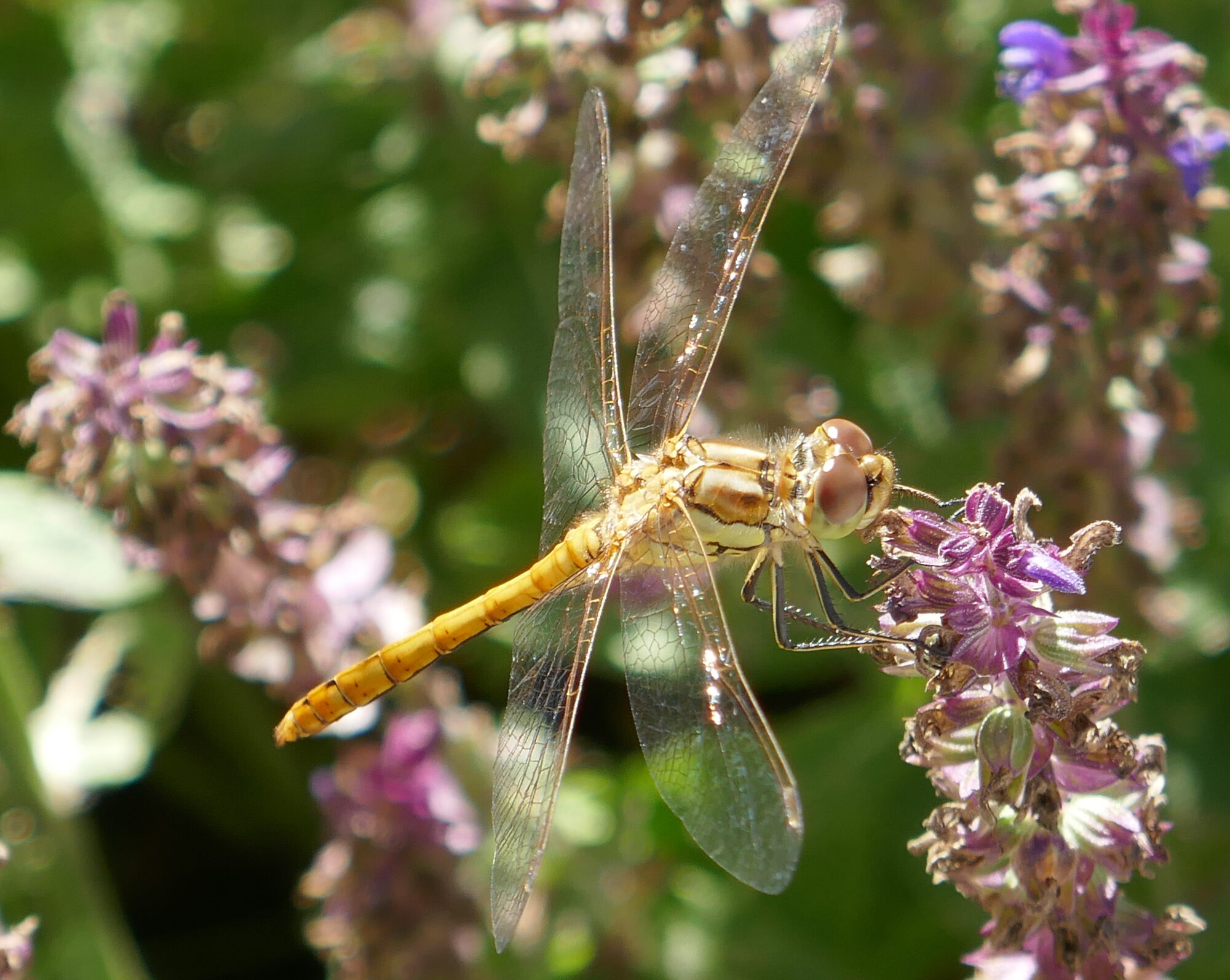 Valokuvaaja: Marjut Ikonen