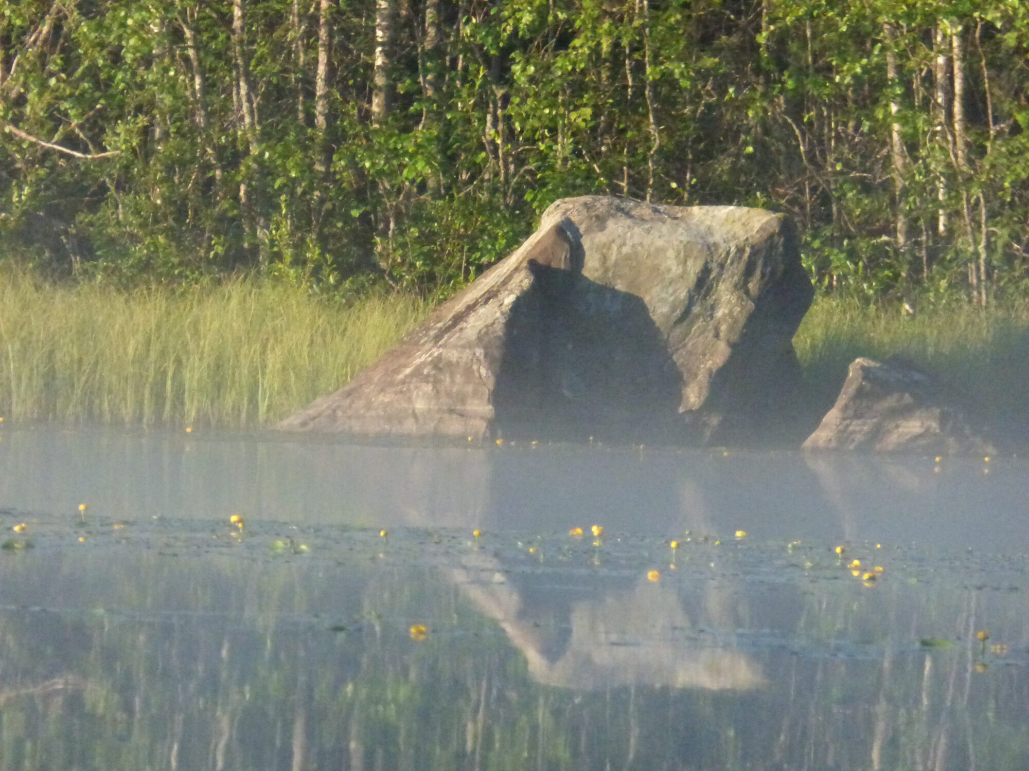 Valokuvaaja: Hannu Rissanen