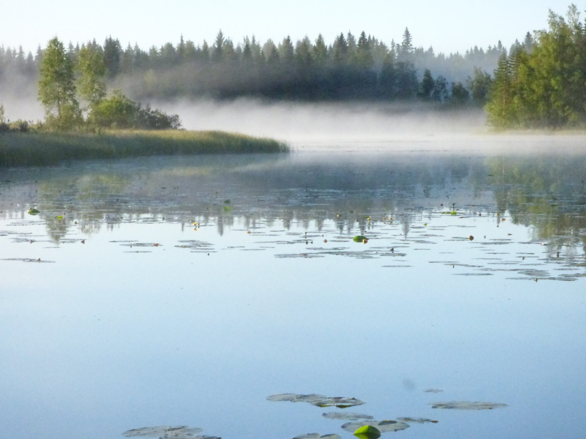 Valokuvaaja: Hannu Rissanen Valokuvaaja: Hannu Rissanen