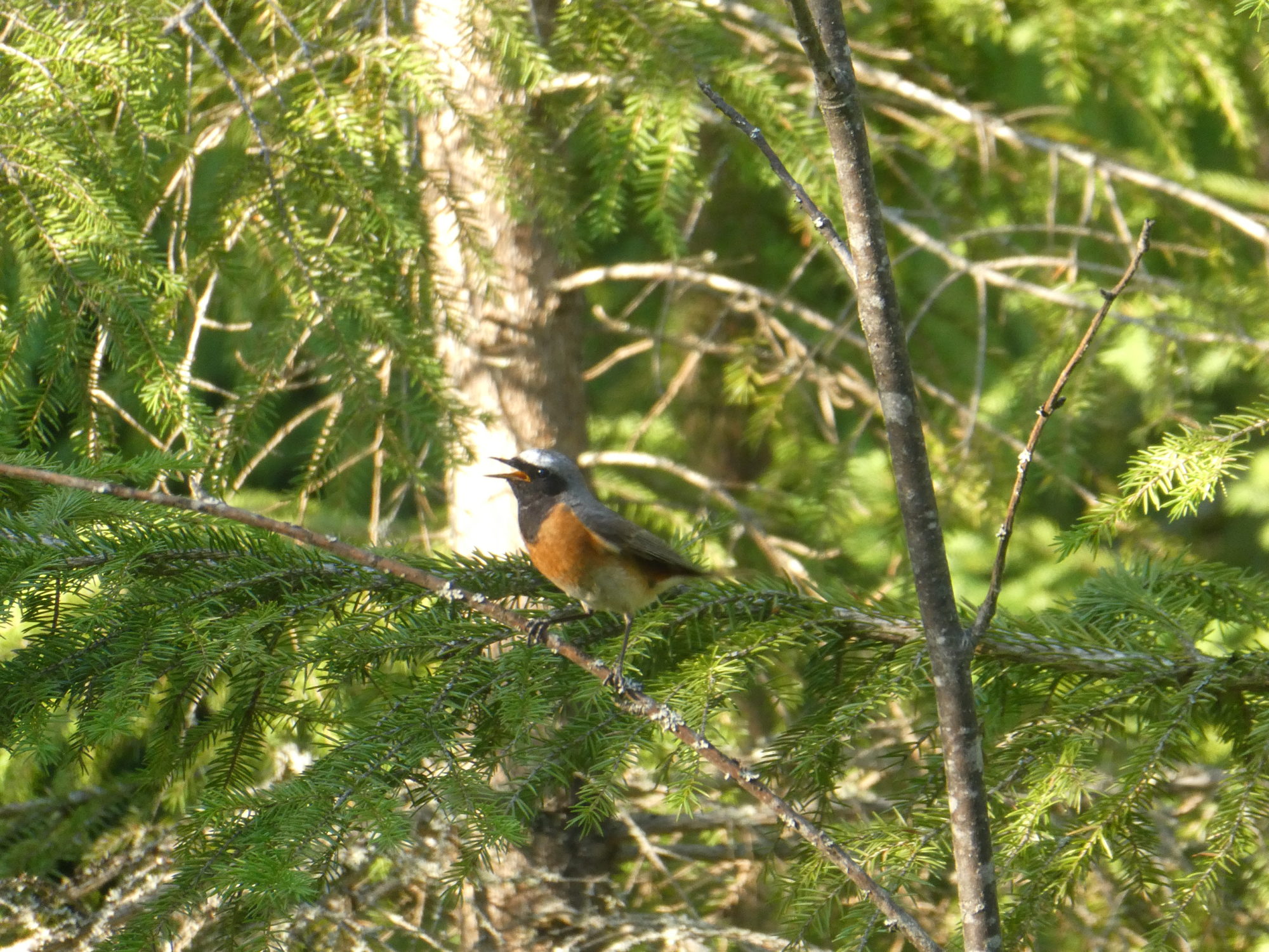 Valokuvaaja: Risto Kauppinen