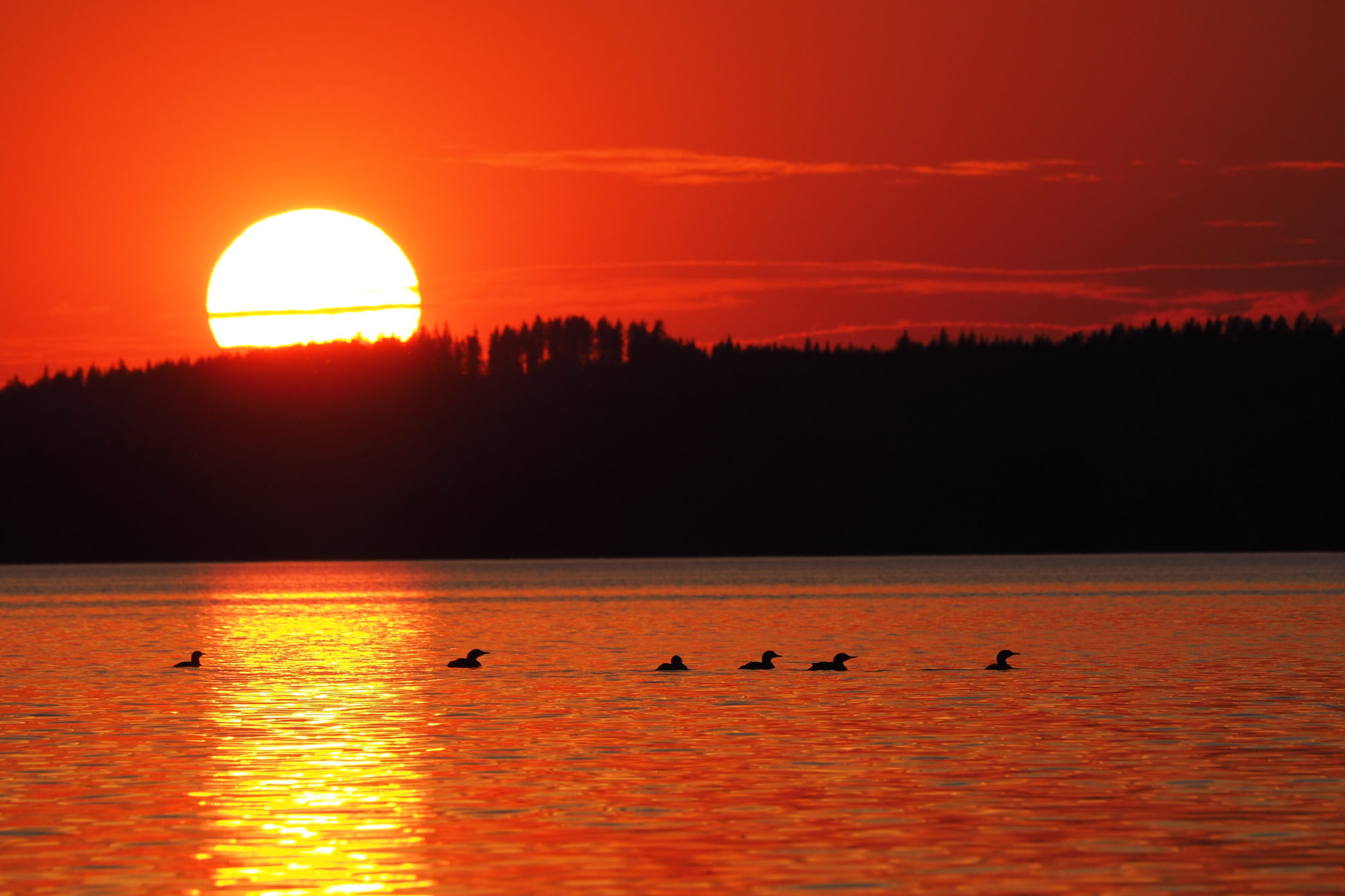 Valokuvaaja: Sami Soikkeli