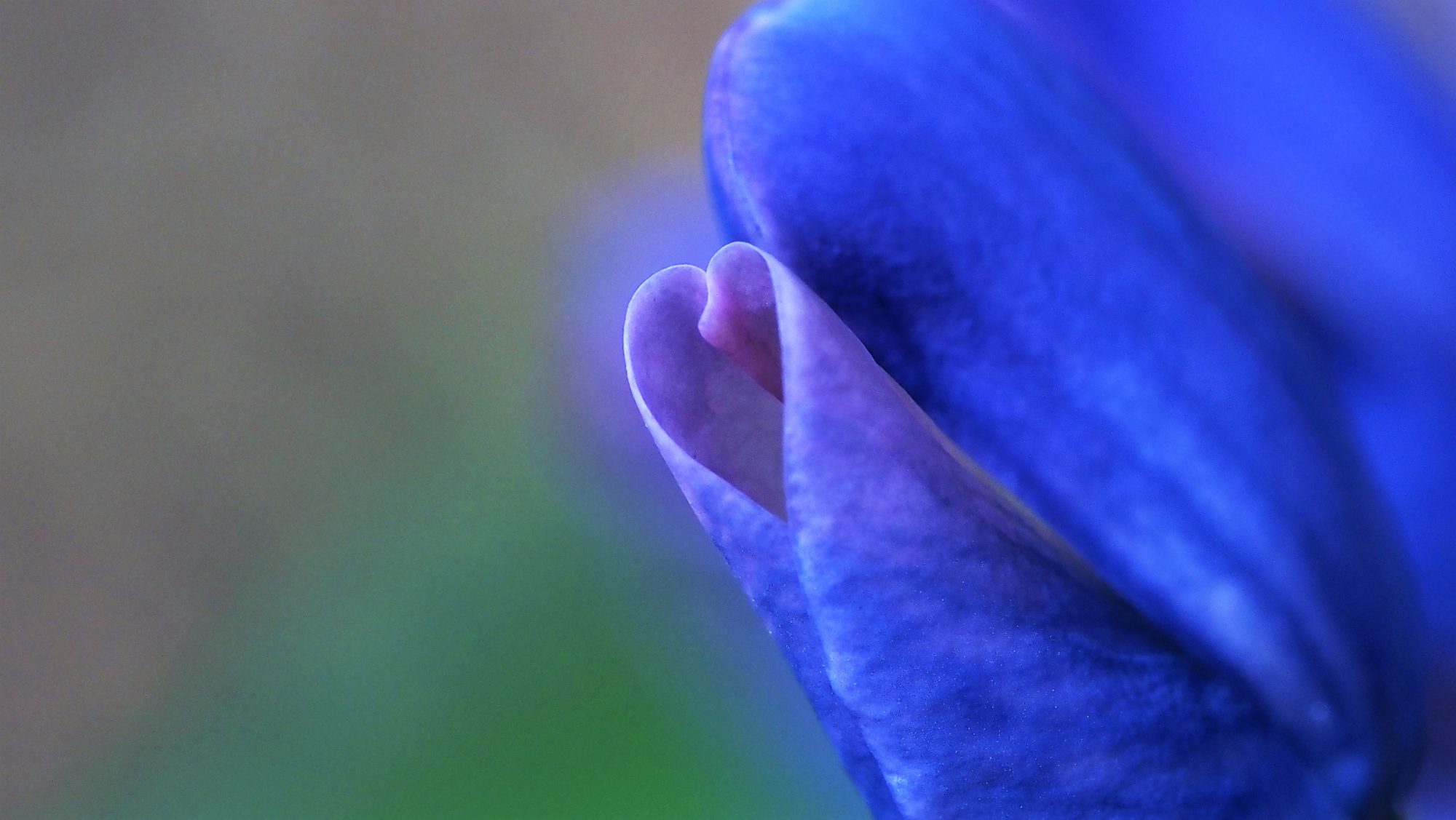 Valokuvaaja: Arja Valtonen