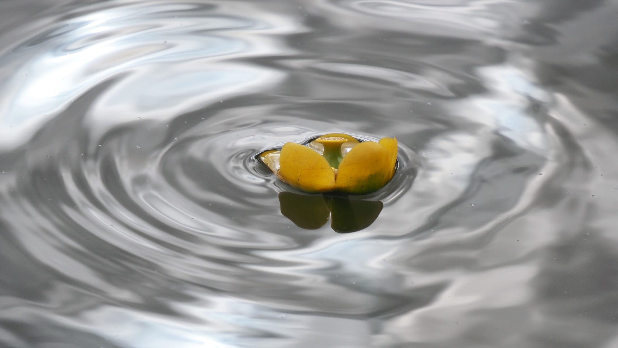 Valokuvaaja: Arja Valtonen