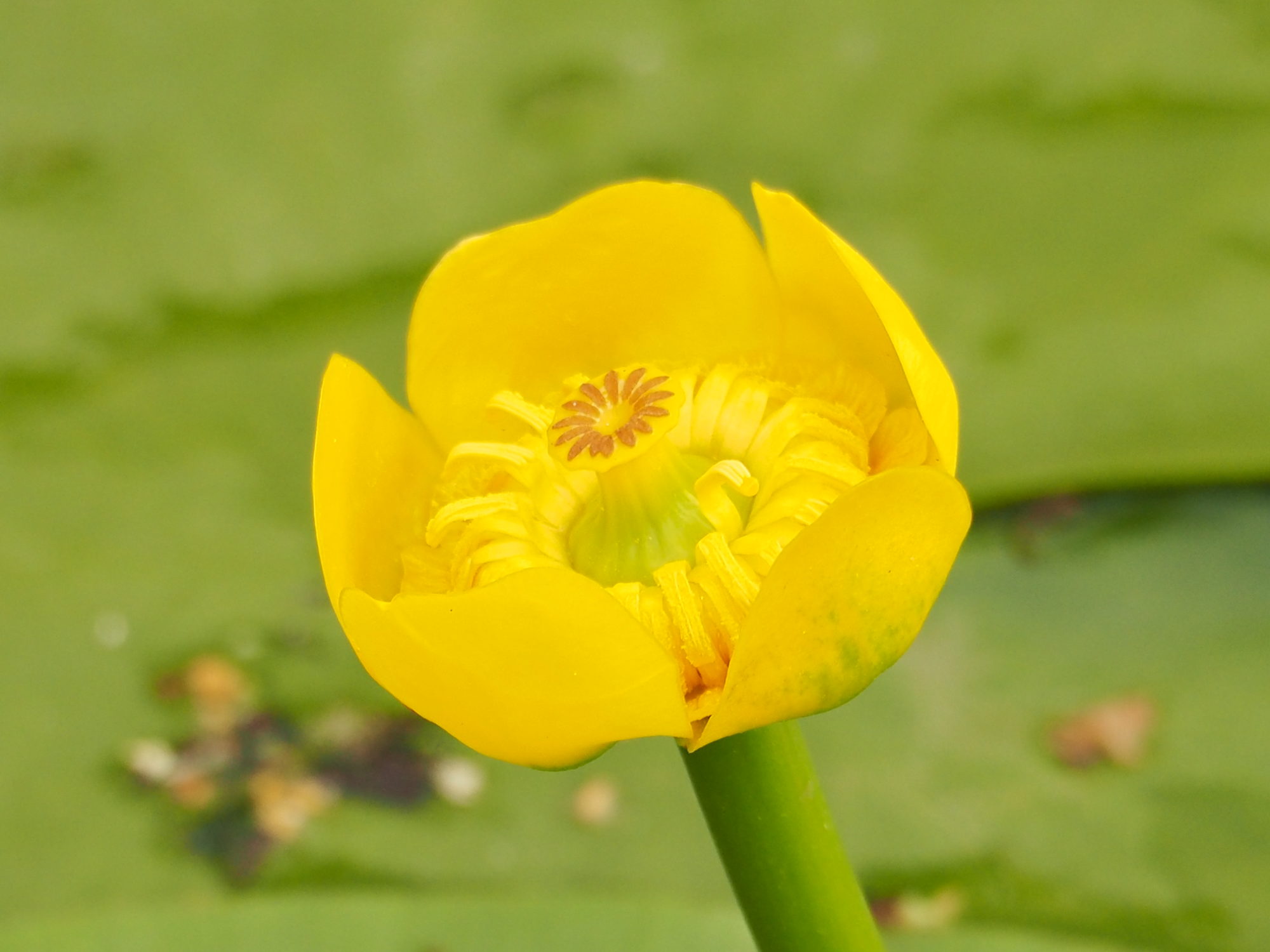 Valokuvaaja: Martti Valtonen