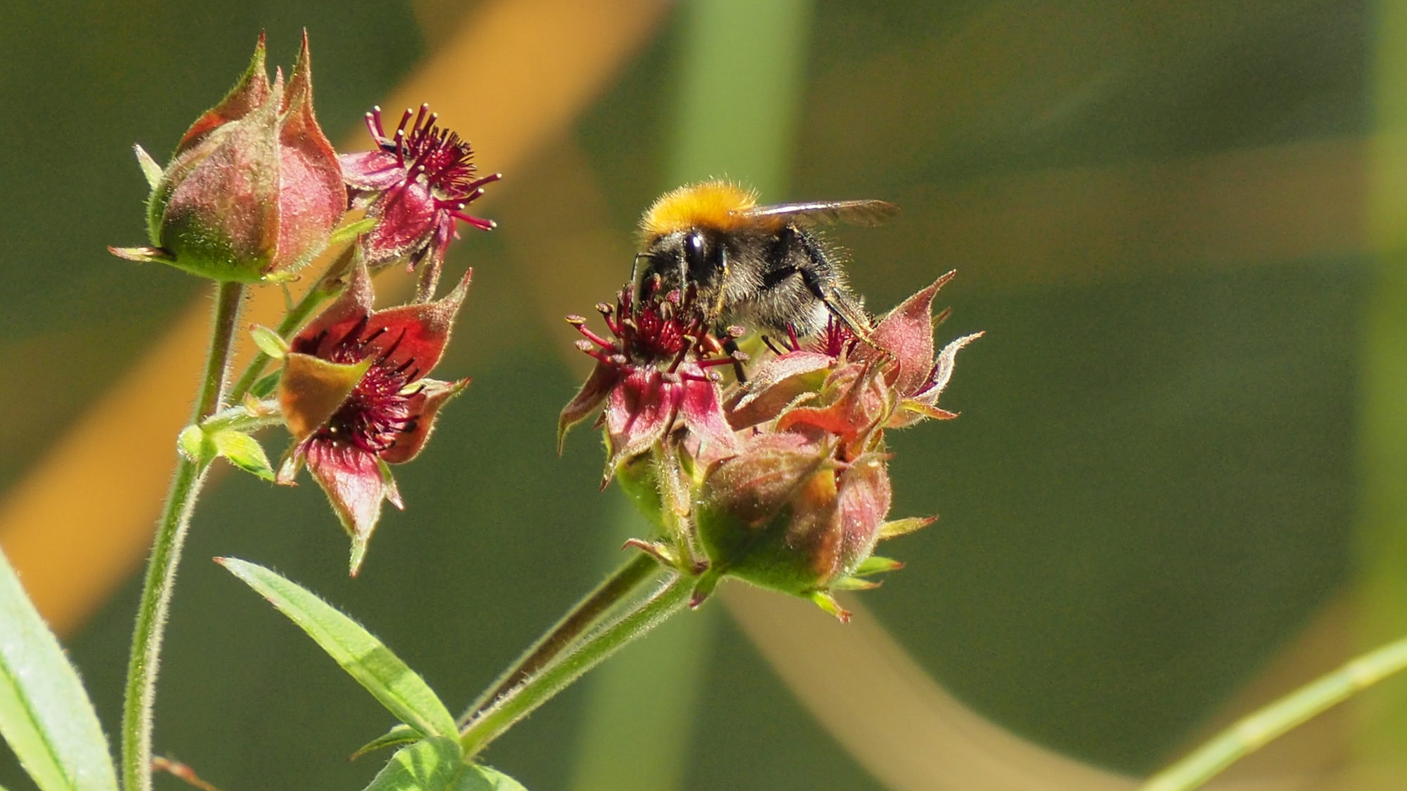 Valokuvaaja: Martti Valtonen