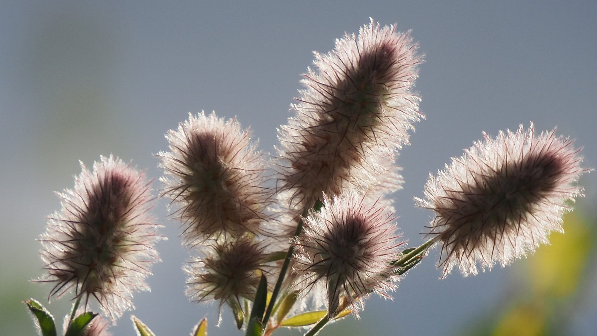 Valokuvaaja: Arja Valtonen Valokuvaaja: Arja Valtonen