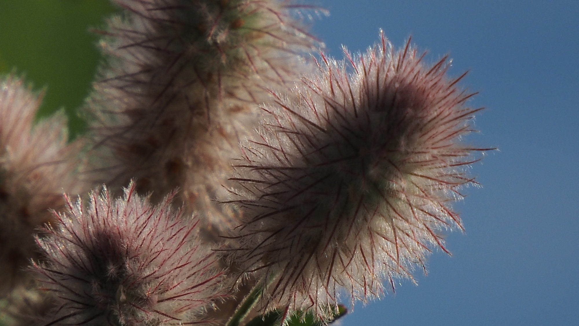 Valokuvaaja: Arja Valtonen