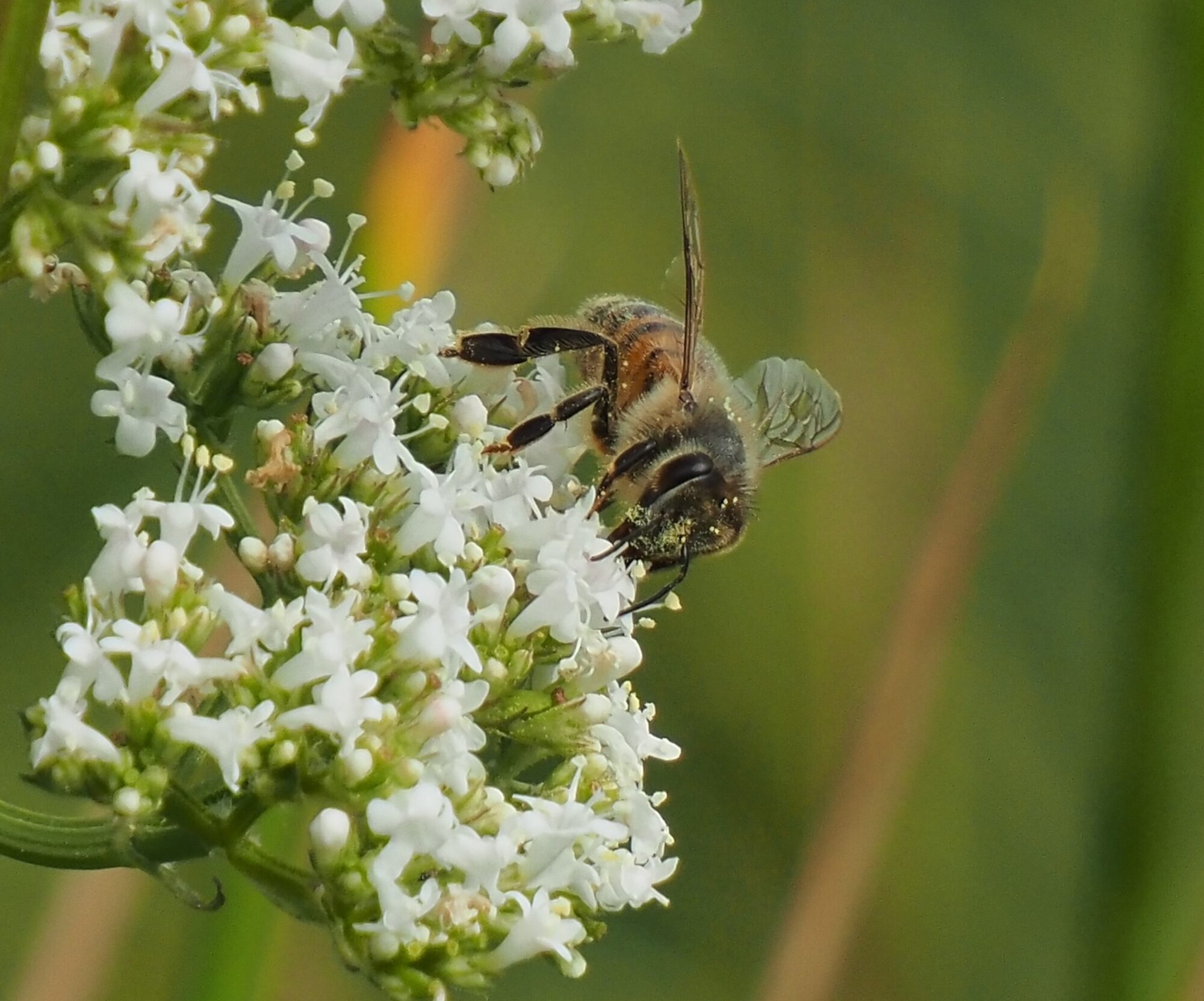 Valokuvaaja: Martti Valtonen Valokuvaaja: Martti Valtonen